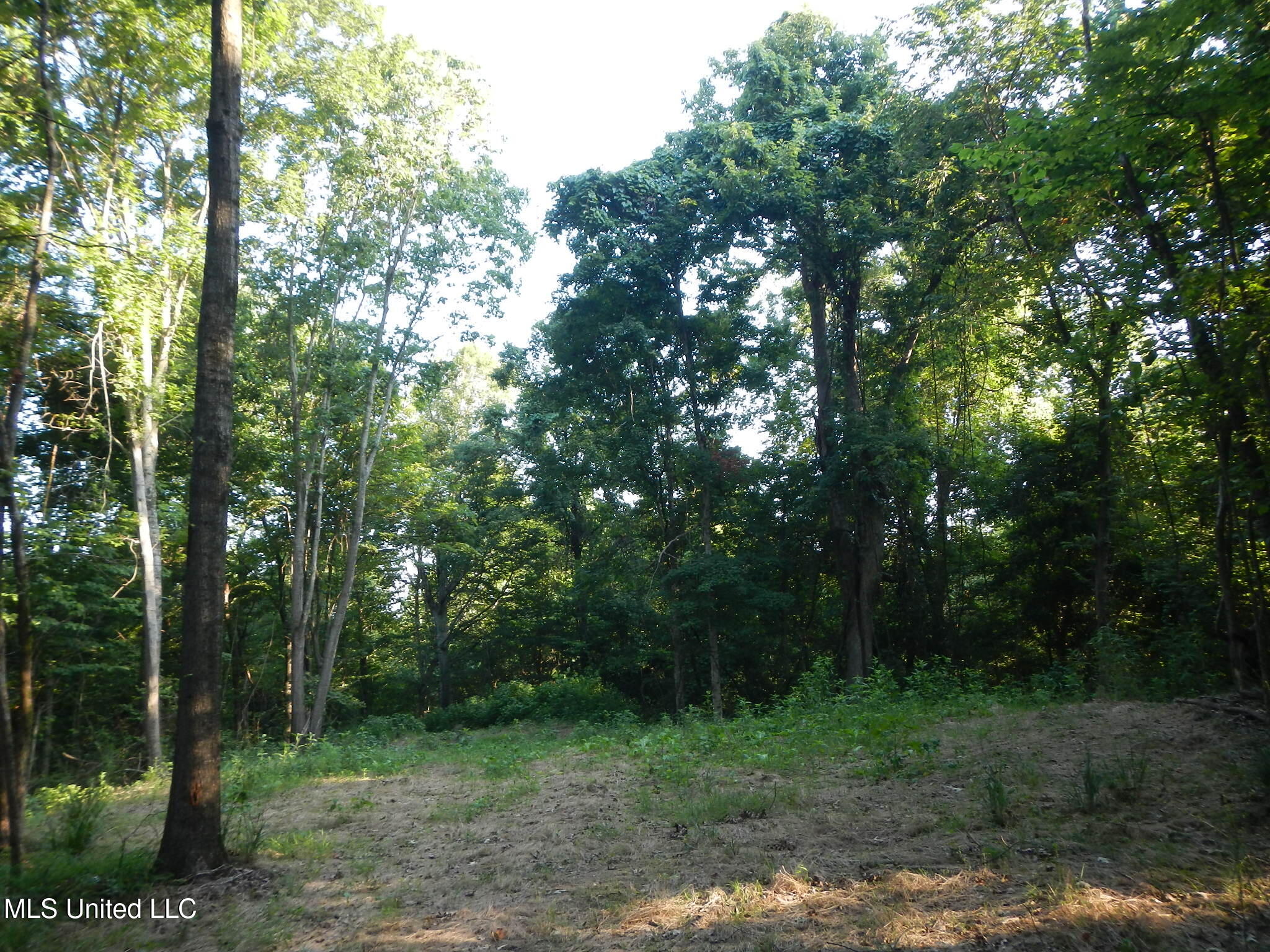 330 Honeycutt Road Property Photo 20