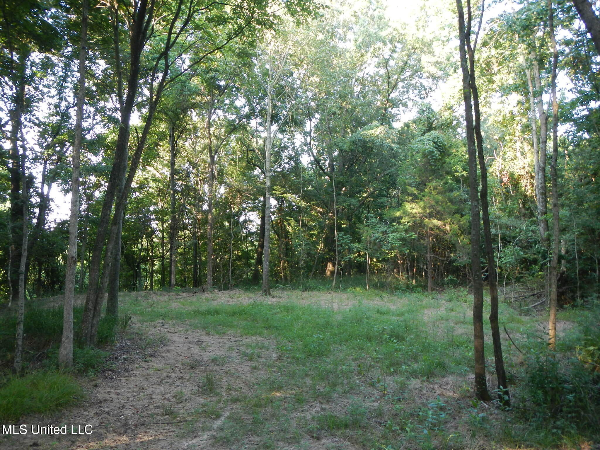 330 Honeycutt Road Property Photo 21