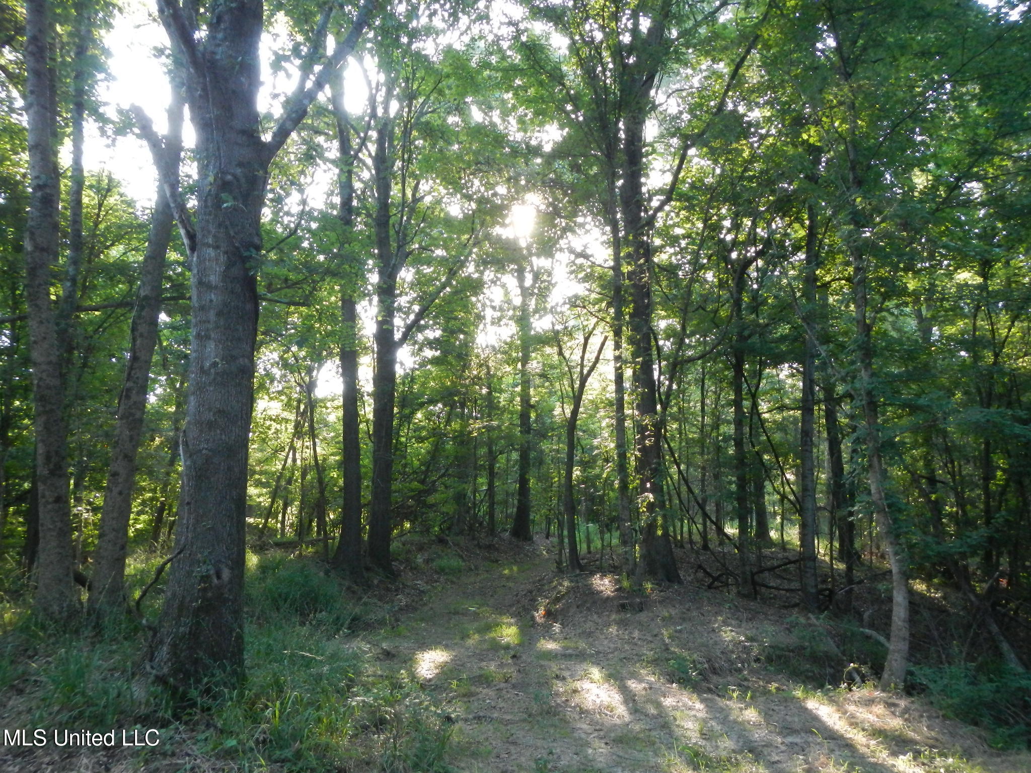 330 Honeycutt Road Property Photo 22