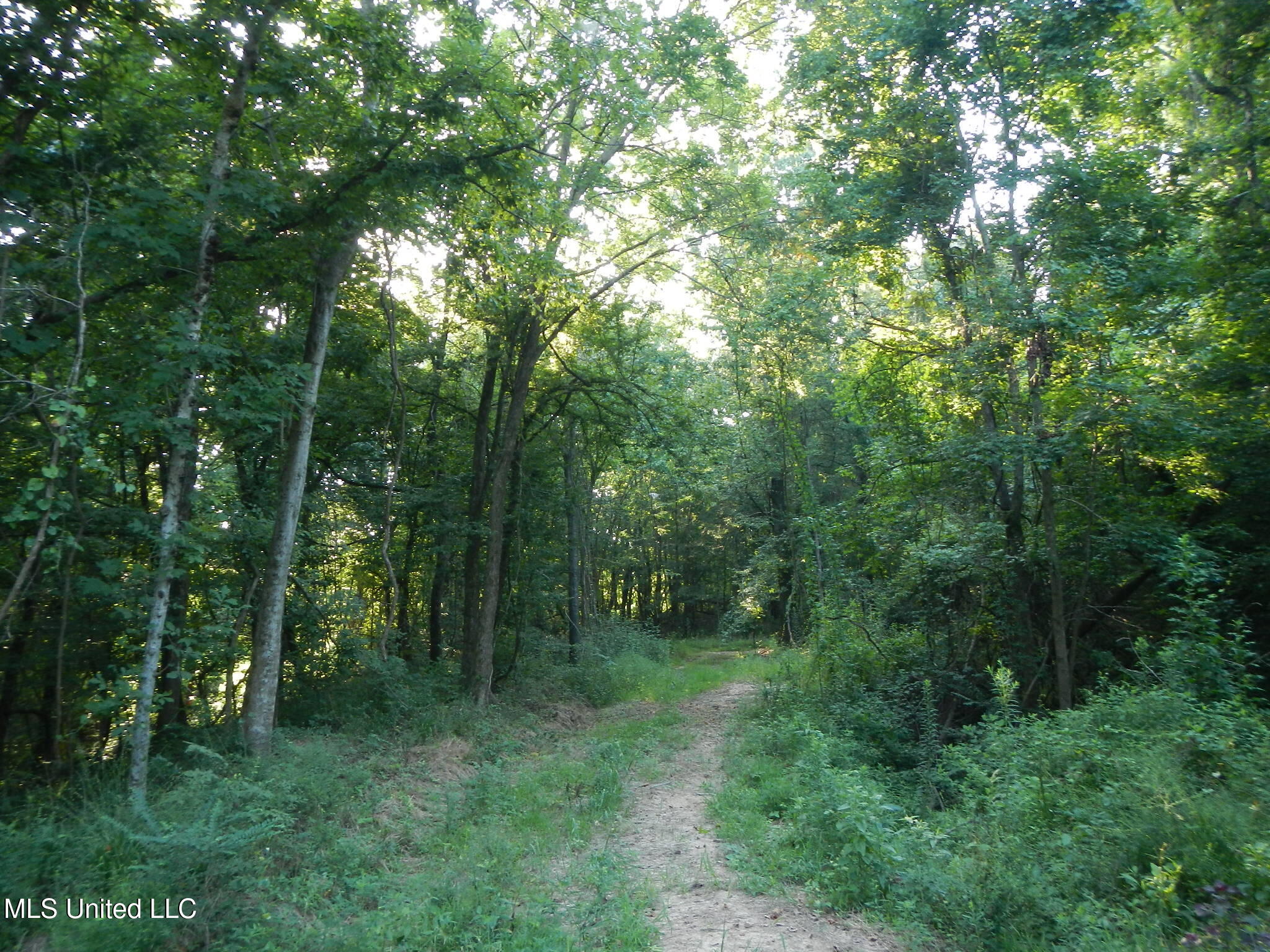 330 Honeycutt Road Property Photo 23