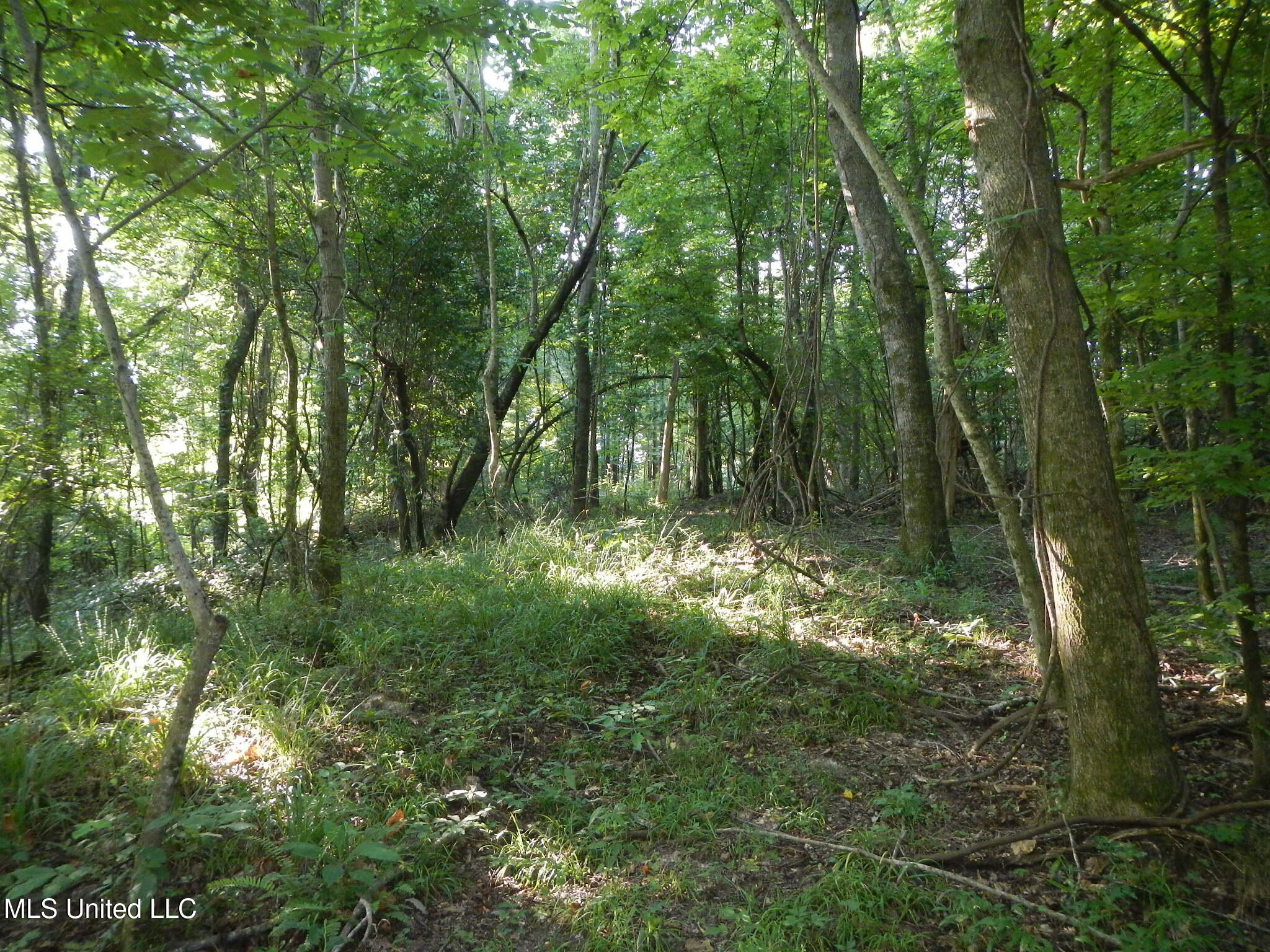 330 Honeycutt Road Property Photo 25