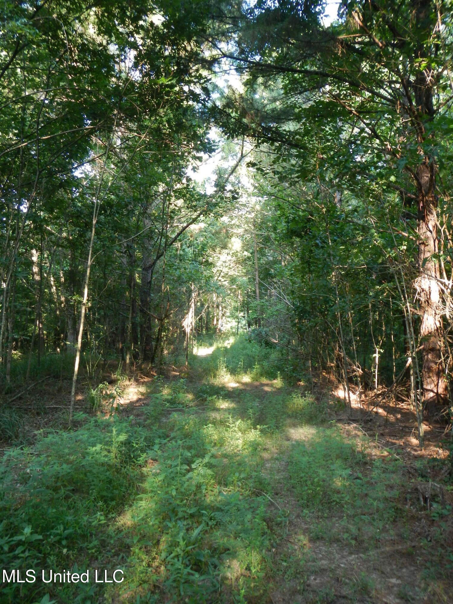 330 Honeycutt Road Property Photo 30