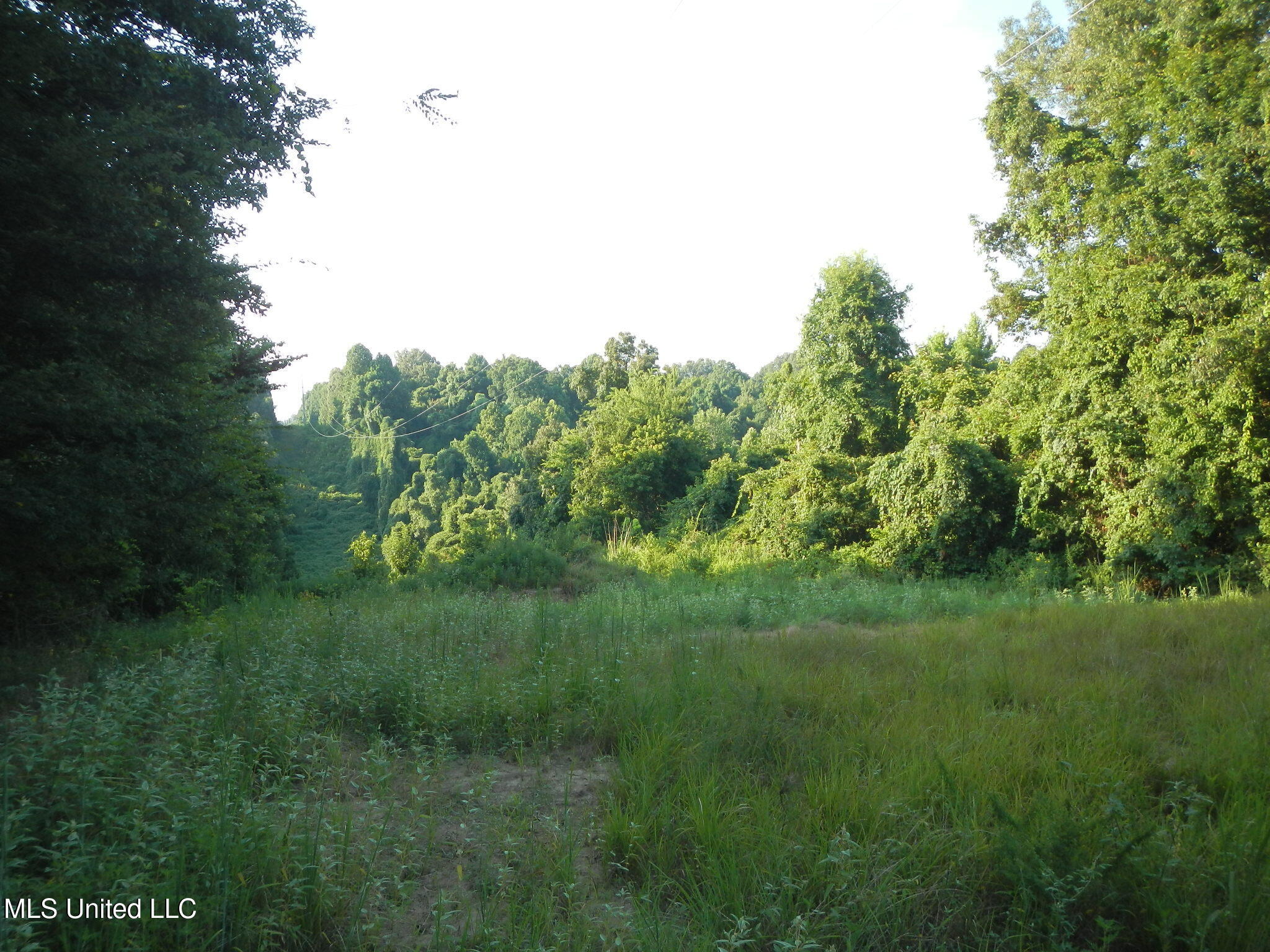 330 Honeycutt Road Property Photo 31