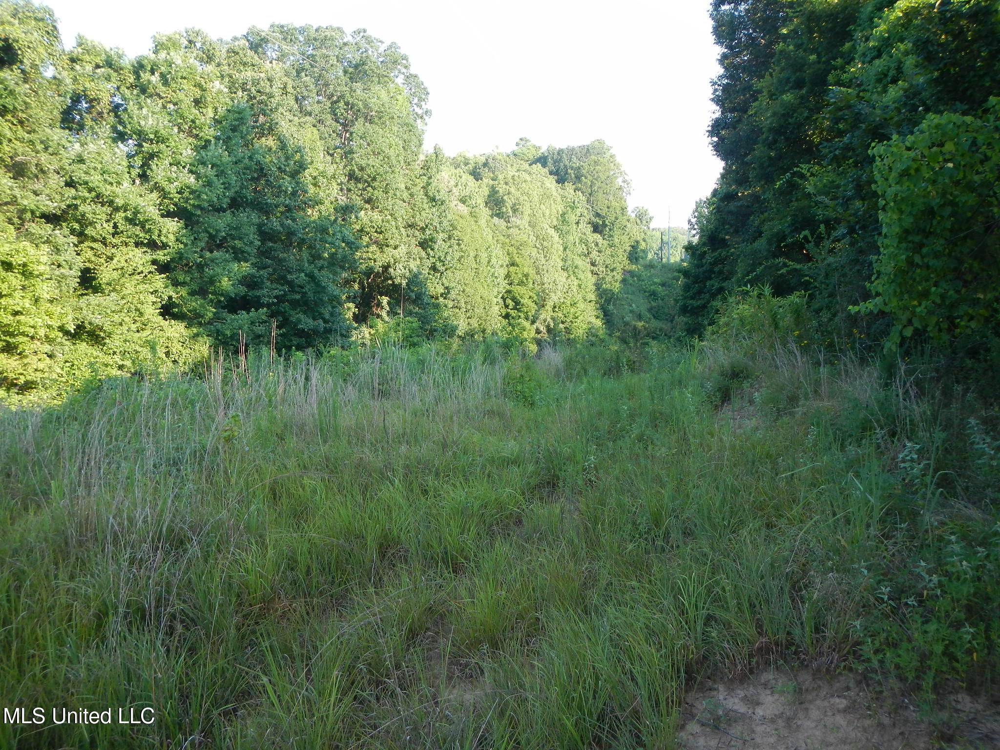 330 Honeycutt Road Property Photo 32