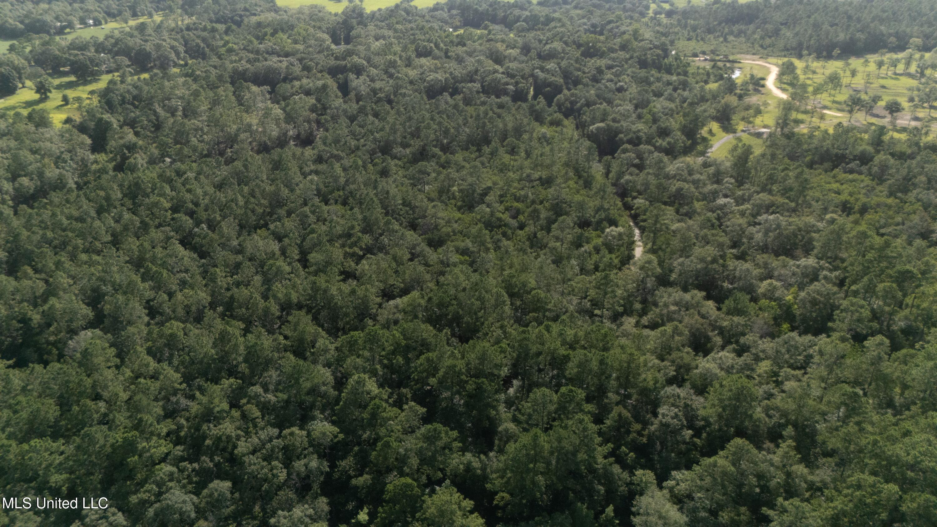 Old Kelly Rd Drive Property Photo 6