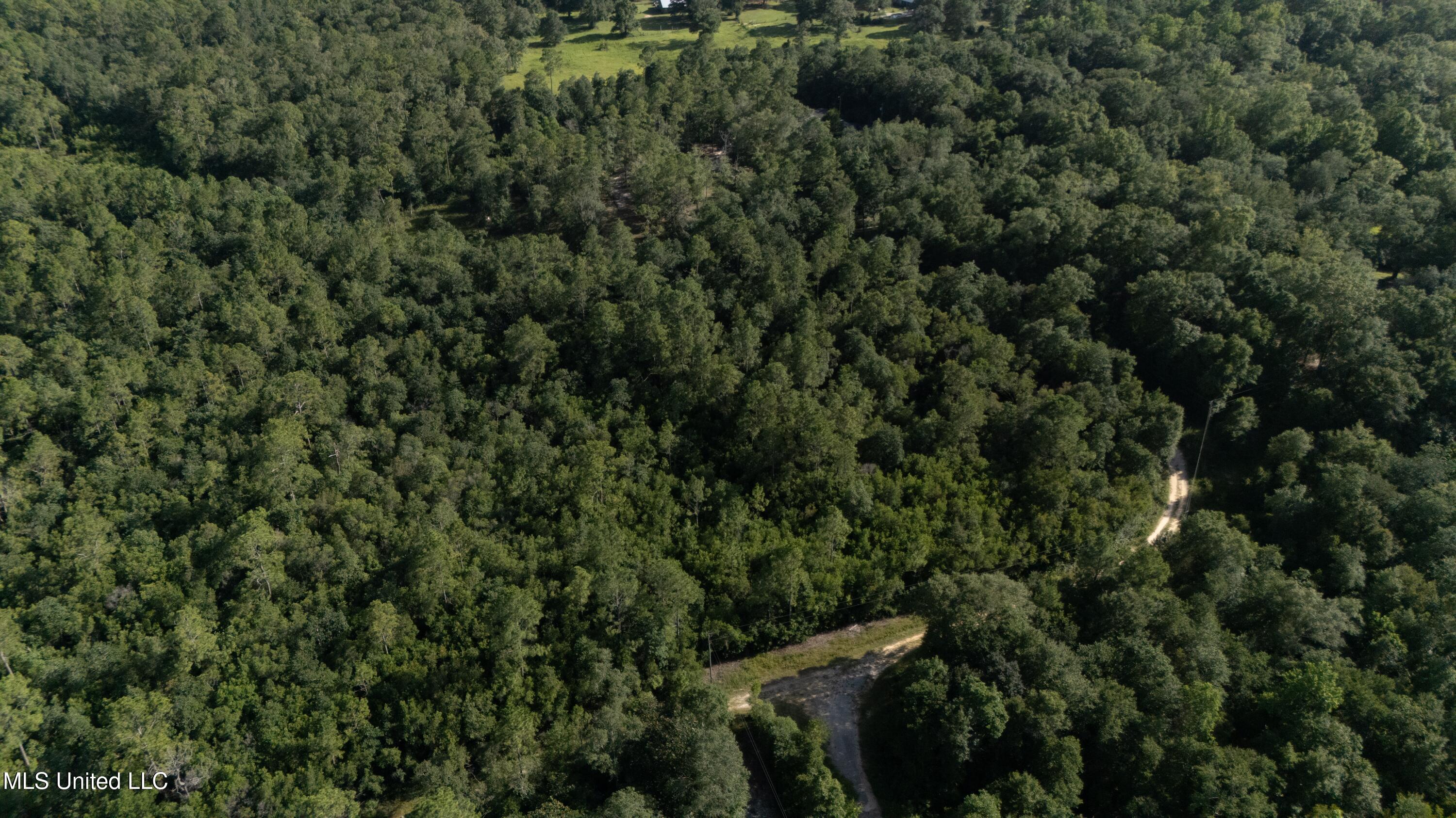 Old Kelly Rd Drive Property Photo 8