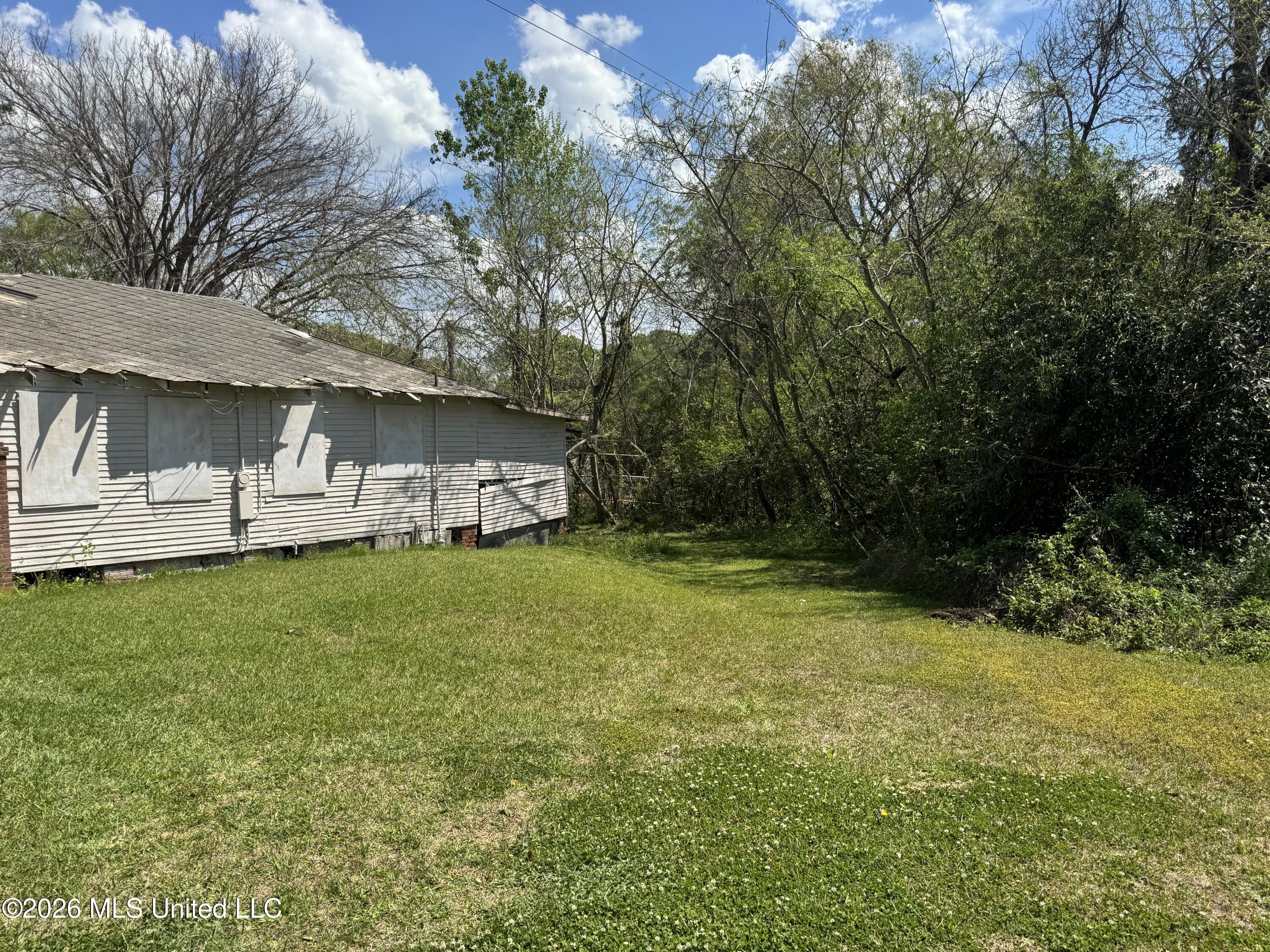 1117 Martin Luther King Jr Street Property Photo 15