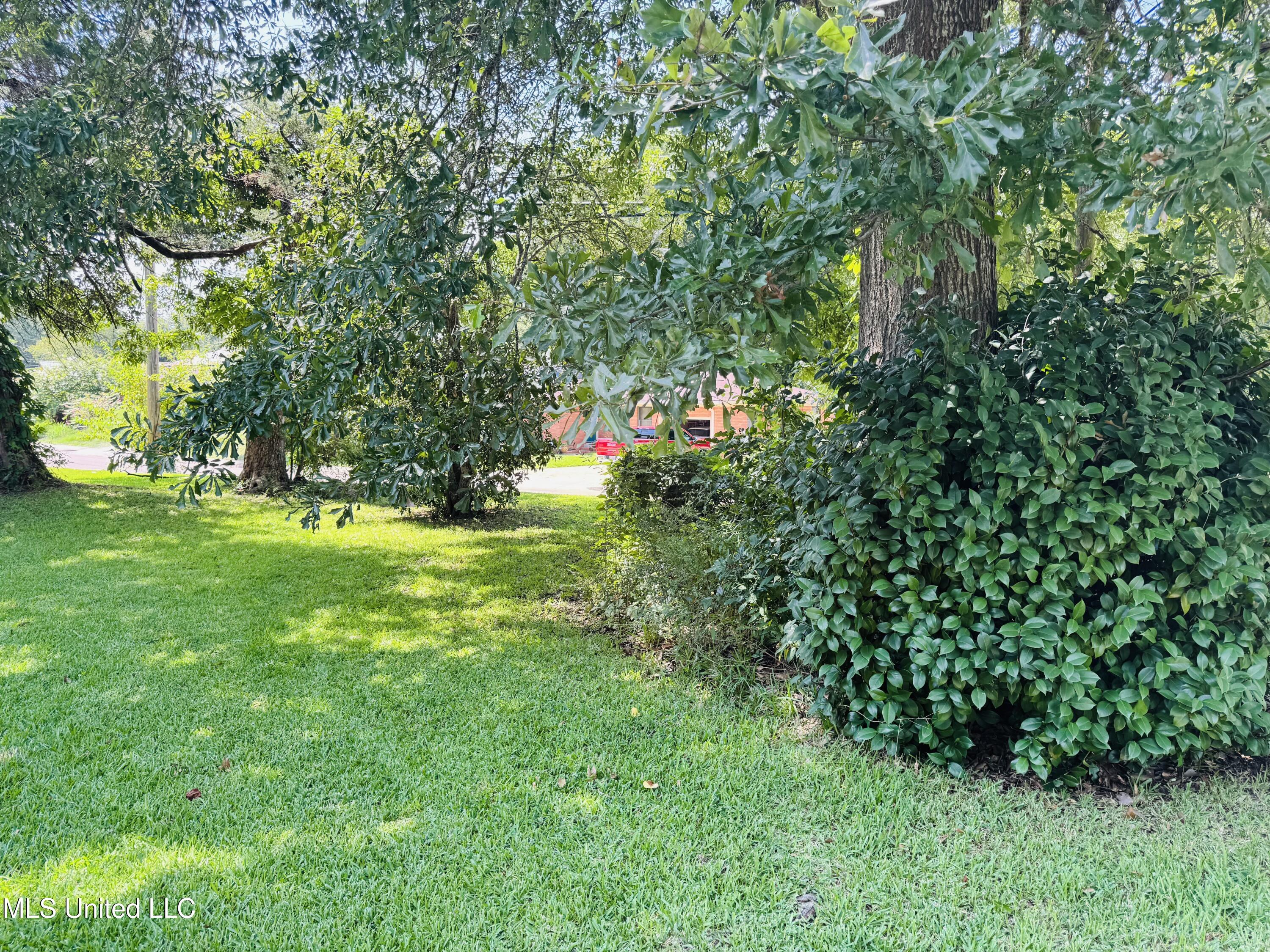 1117 Martin Luther King Jr Street Property Photo 20