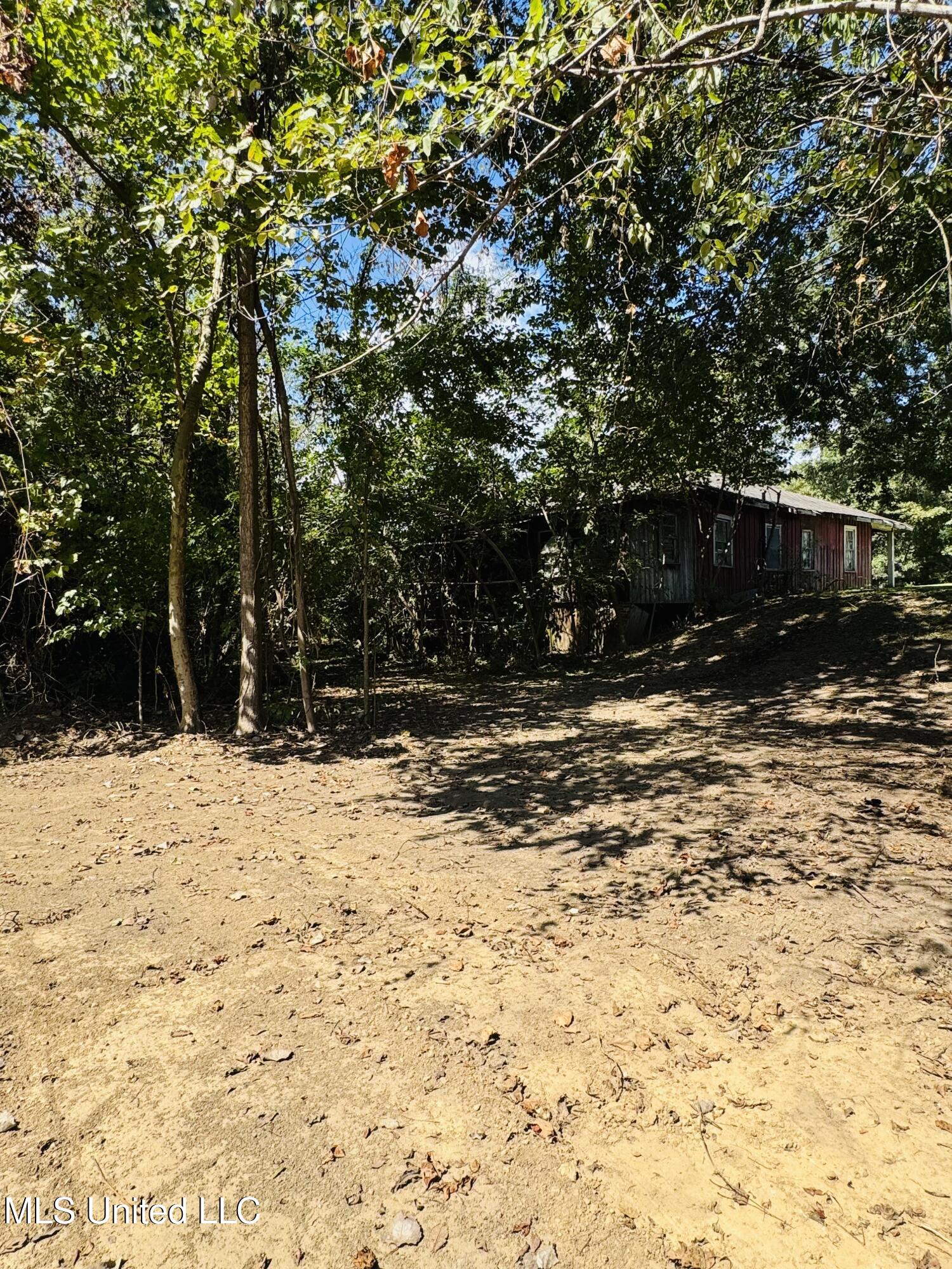 1117 Martin Luther King Jr Street Property Photo 25