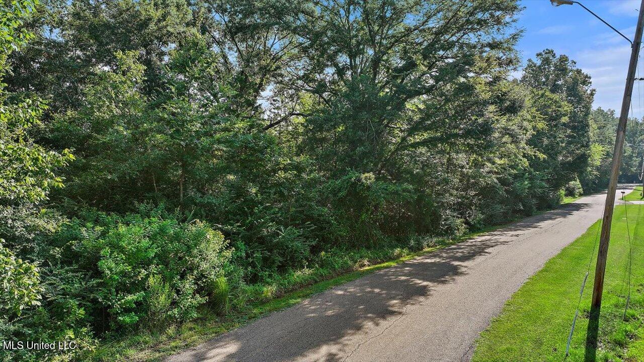 Castlewood Drive Property Photo 3