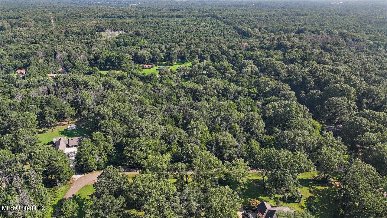 Castlewood Drive Property Photo 6