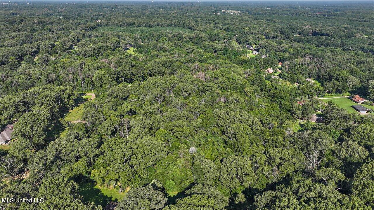 Castlewood Drive Property Photo 8