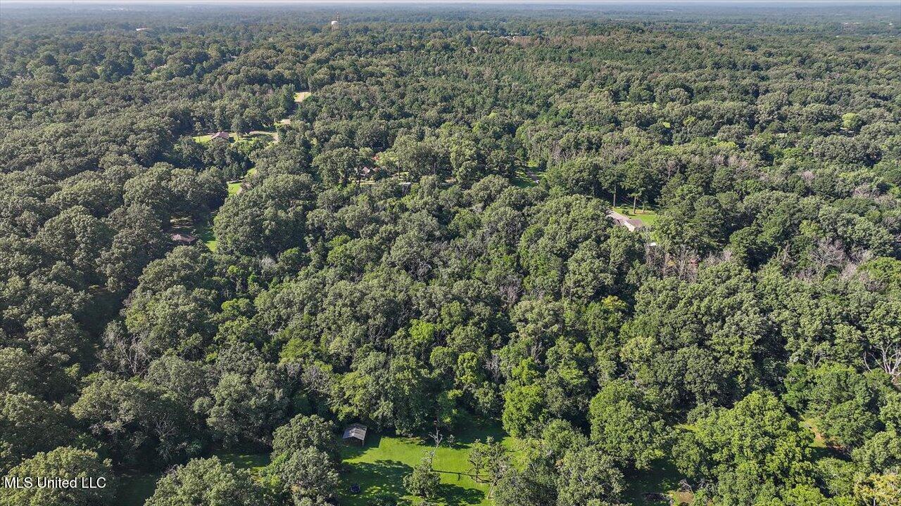 Castlewood Drive Property Photo 10