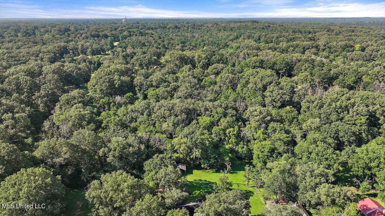 Castlewood Drive Property Photo 14
