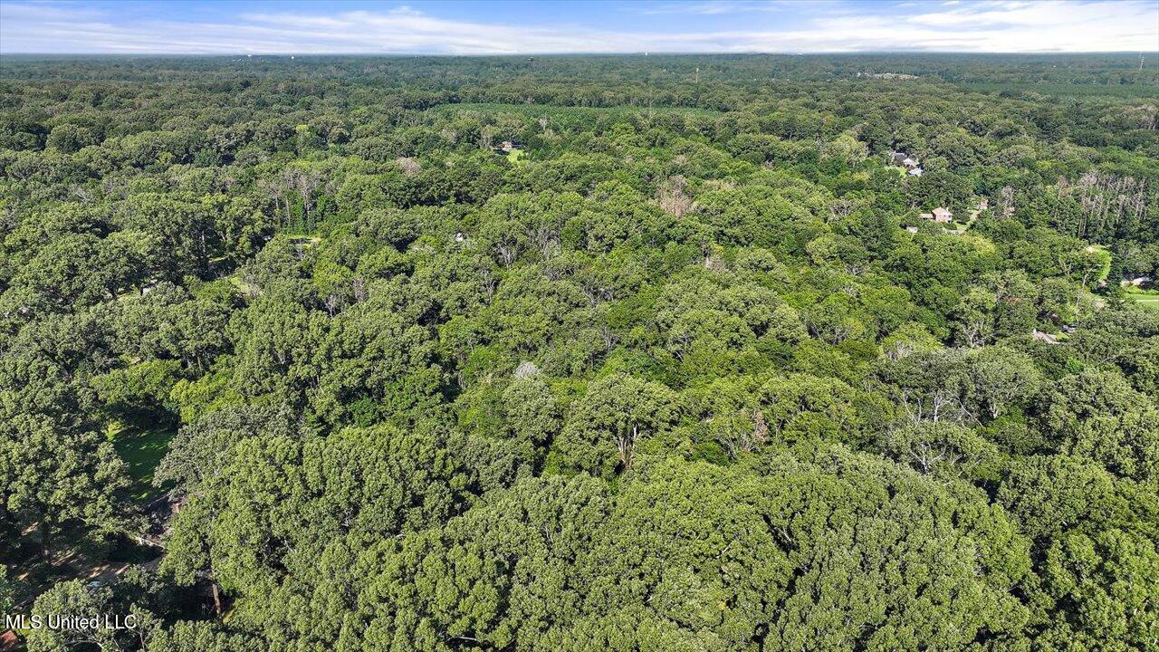 Castlewood Drive Property Photo 15