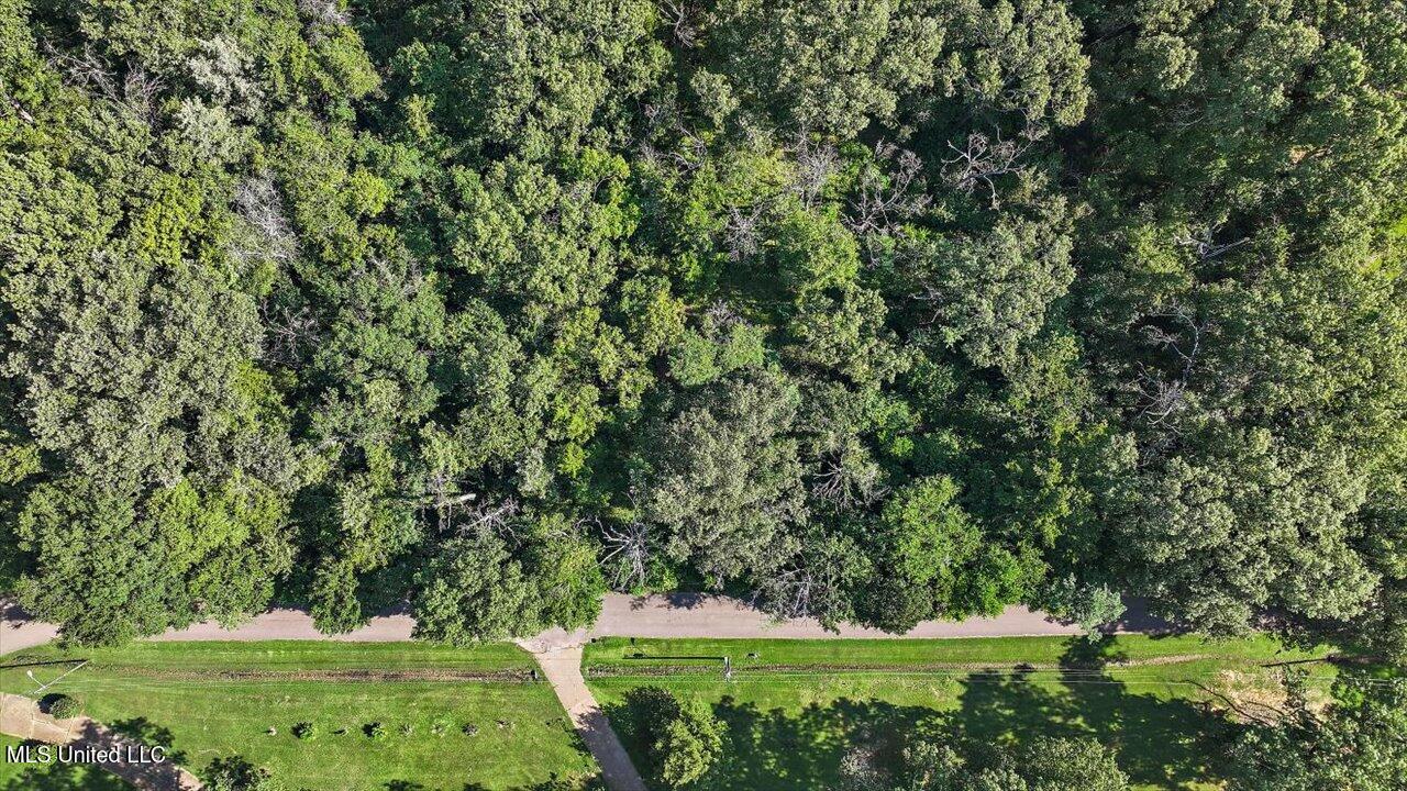 Castlewood Drive Property Photo 21