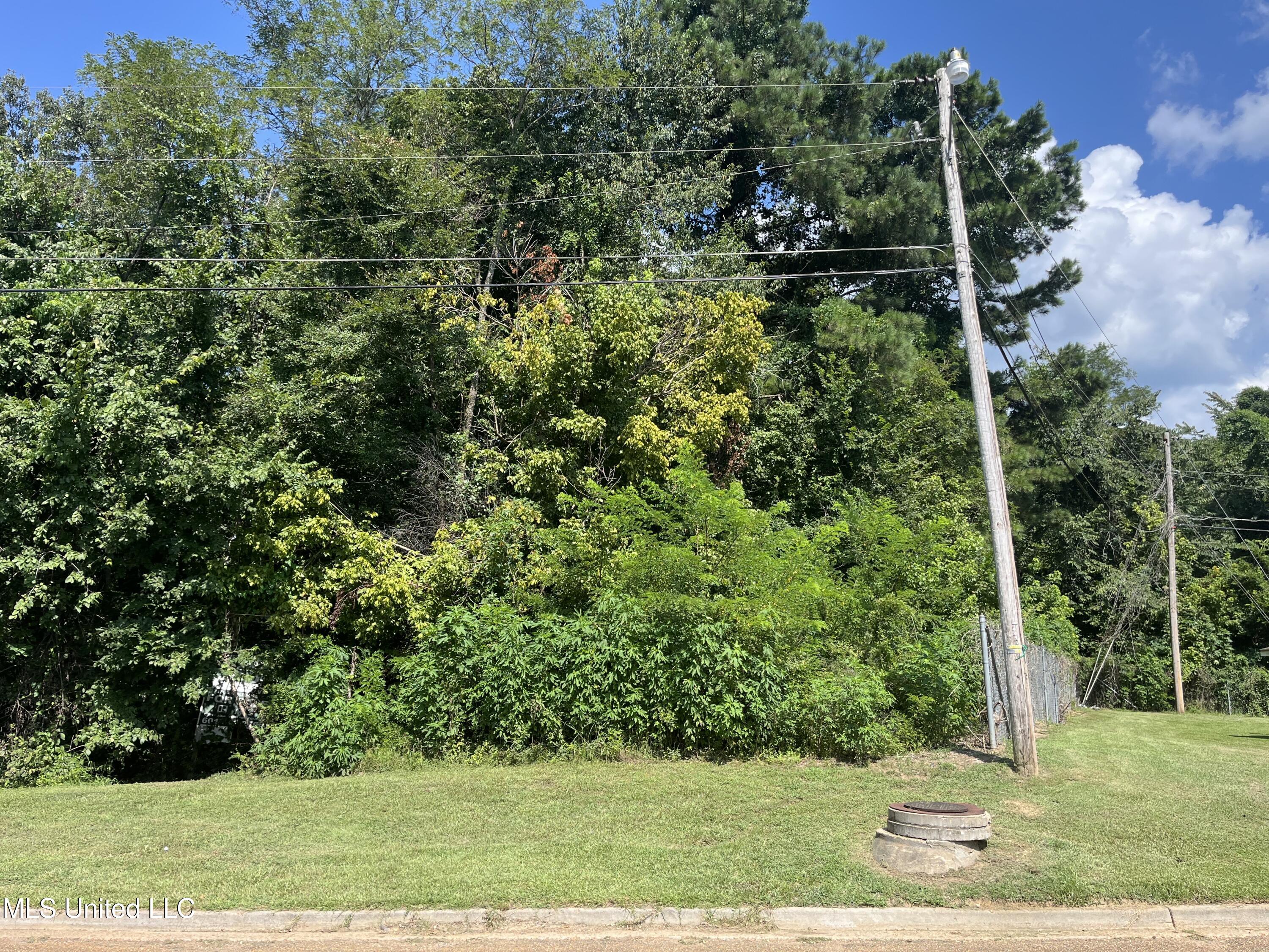 0 Triplett Drive Property Photo 3