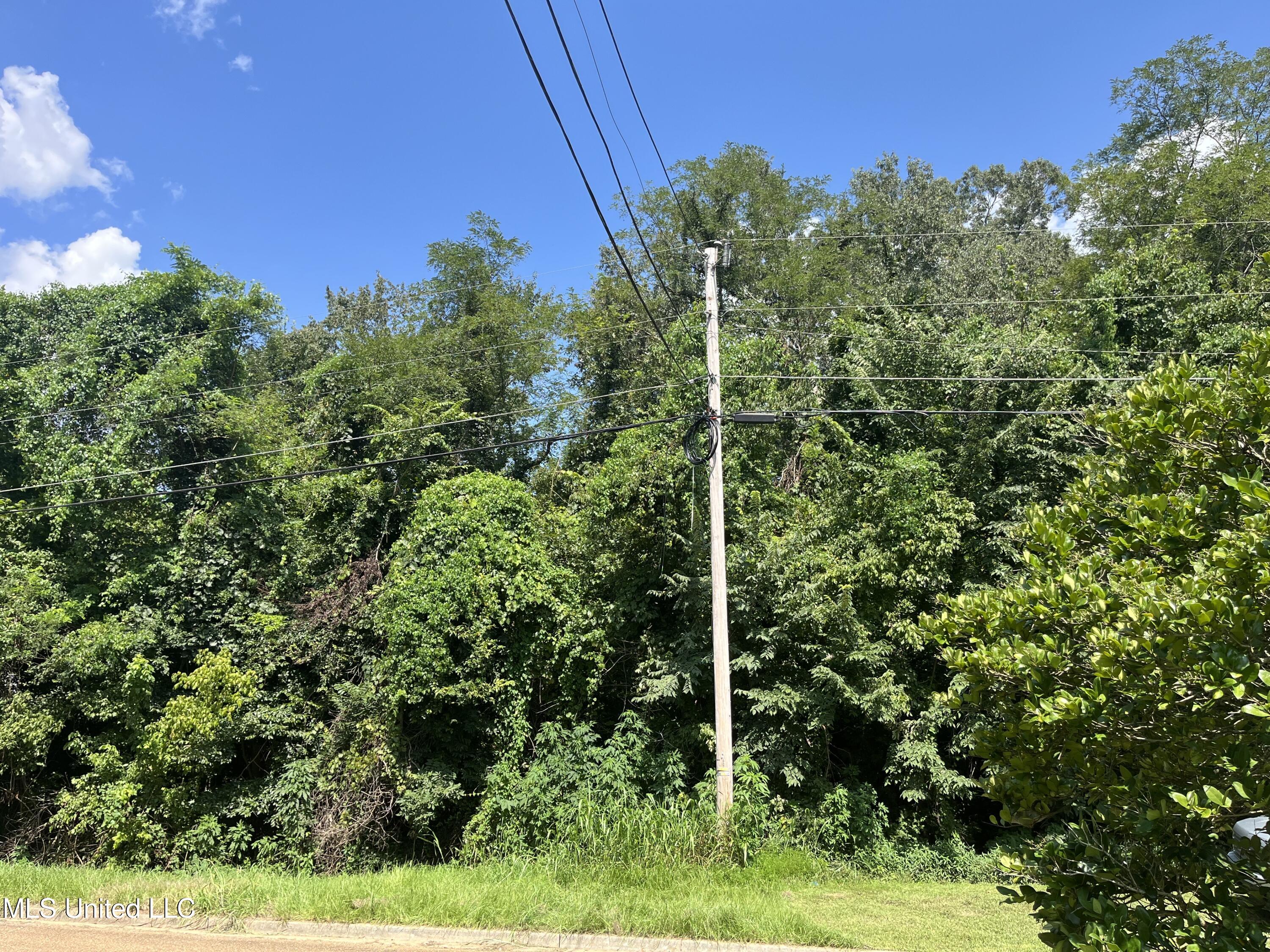 0 Triplett Drive Property Photo 4