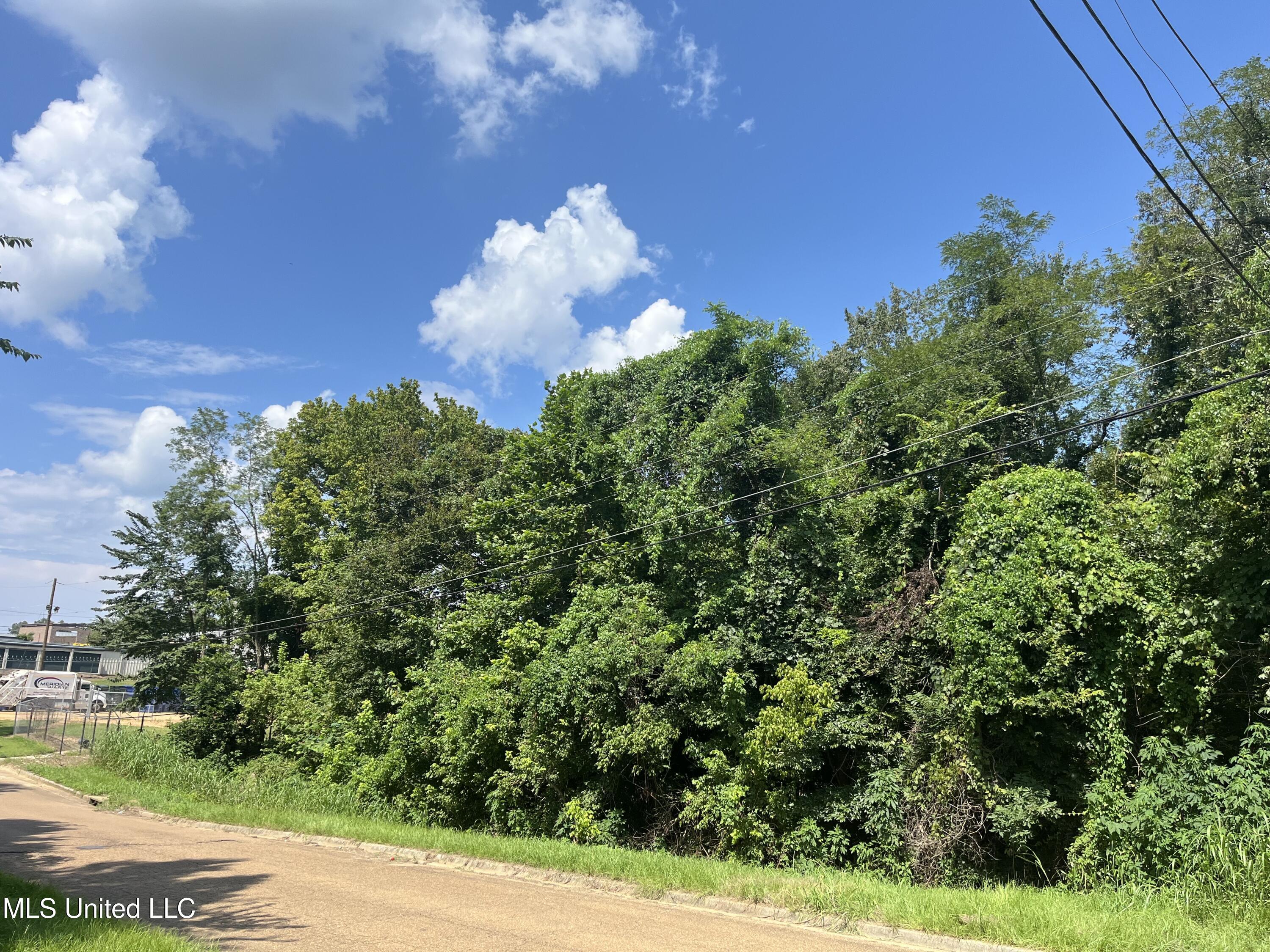 0 Triplett Drive Property Photo 5
