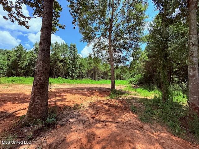 10508 Kokomo Road Property Photo 7