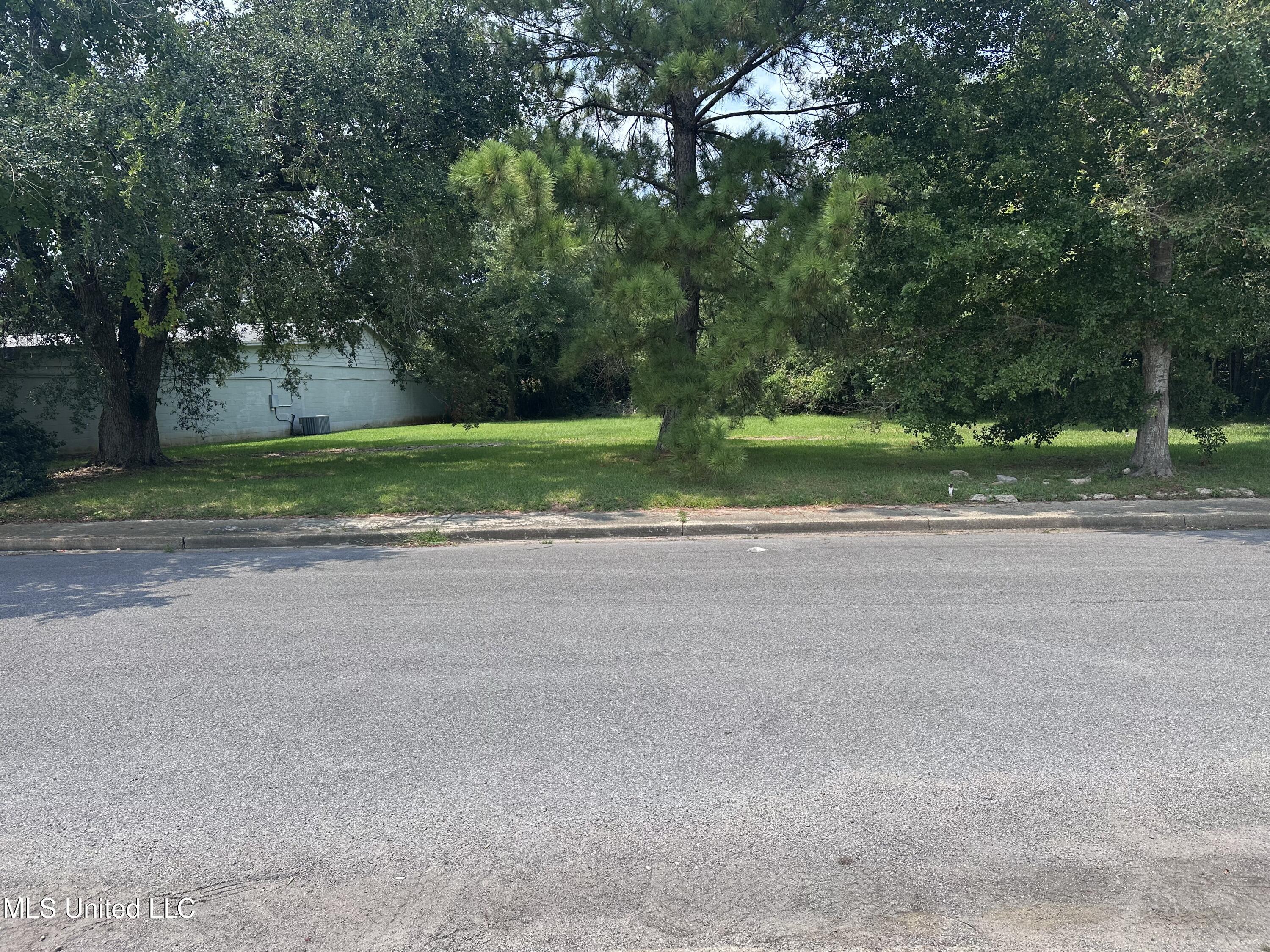 1907 Resca De La Palma Street Property Photo 4