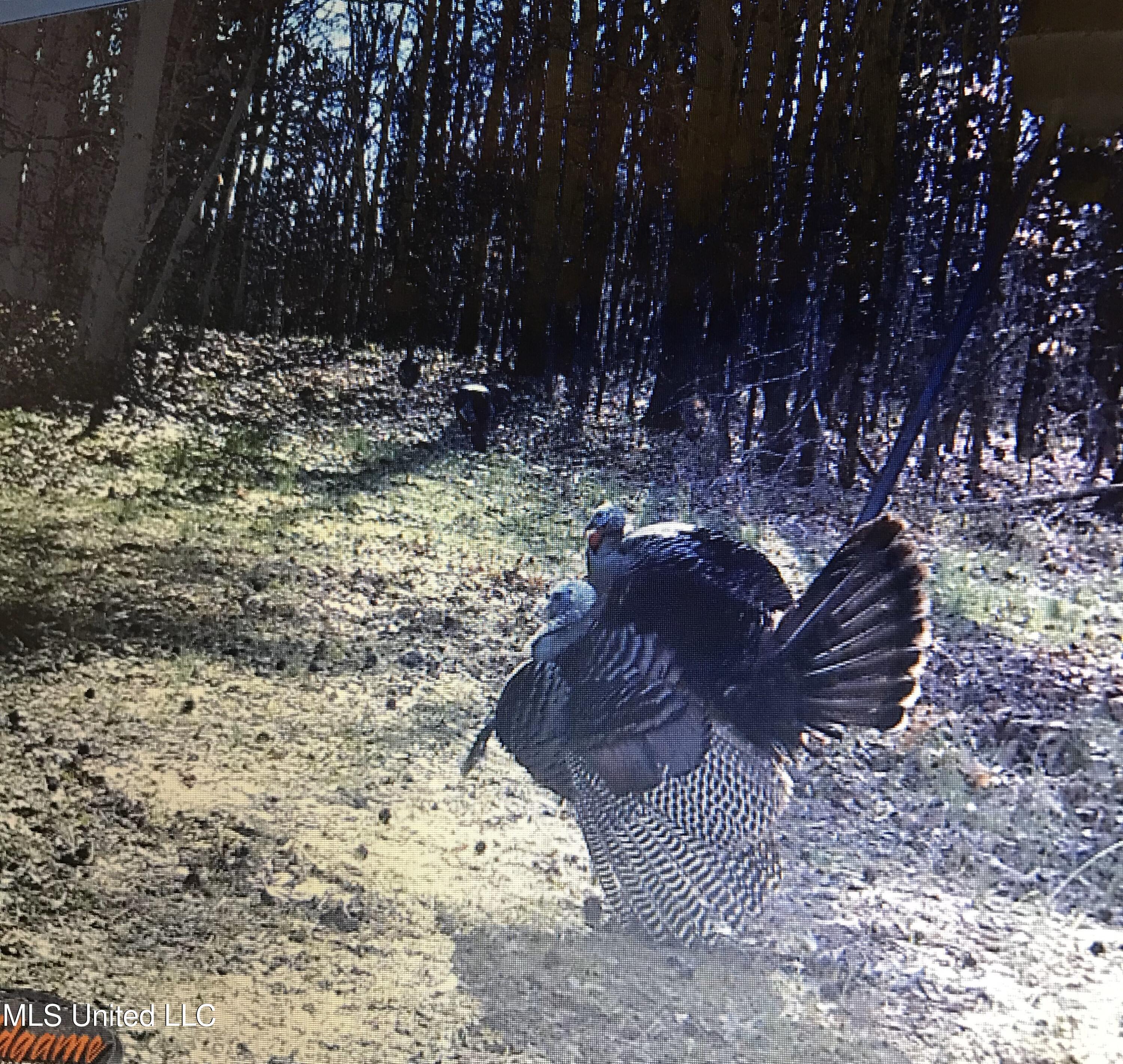 Phillips Road Property Photo 2