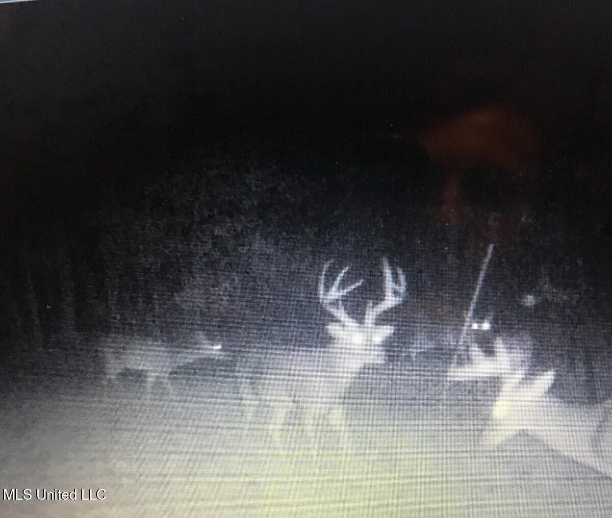 Phillips Road Property Photo 3