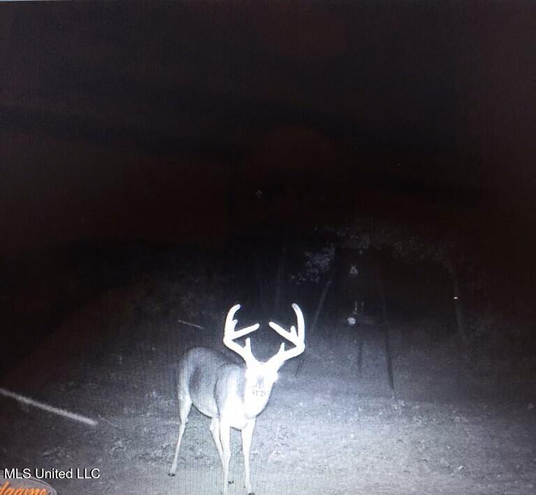 Phillips Road Property Photo 4