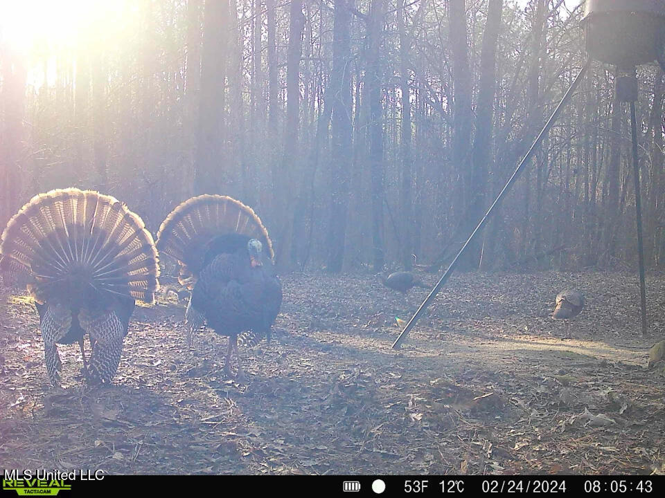 Phillips Road Property Photo 5