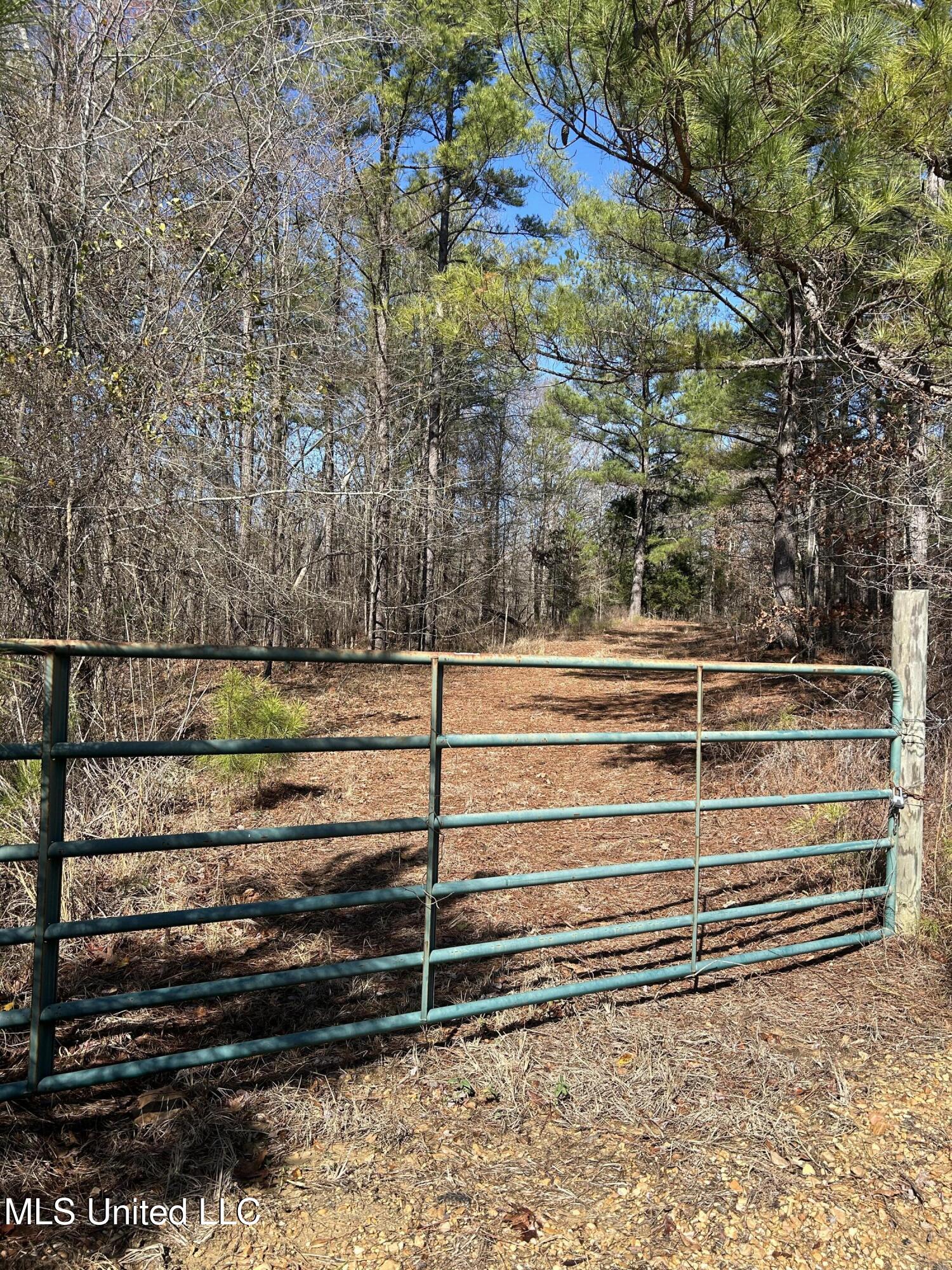 Phillips Road Property Photo 6