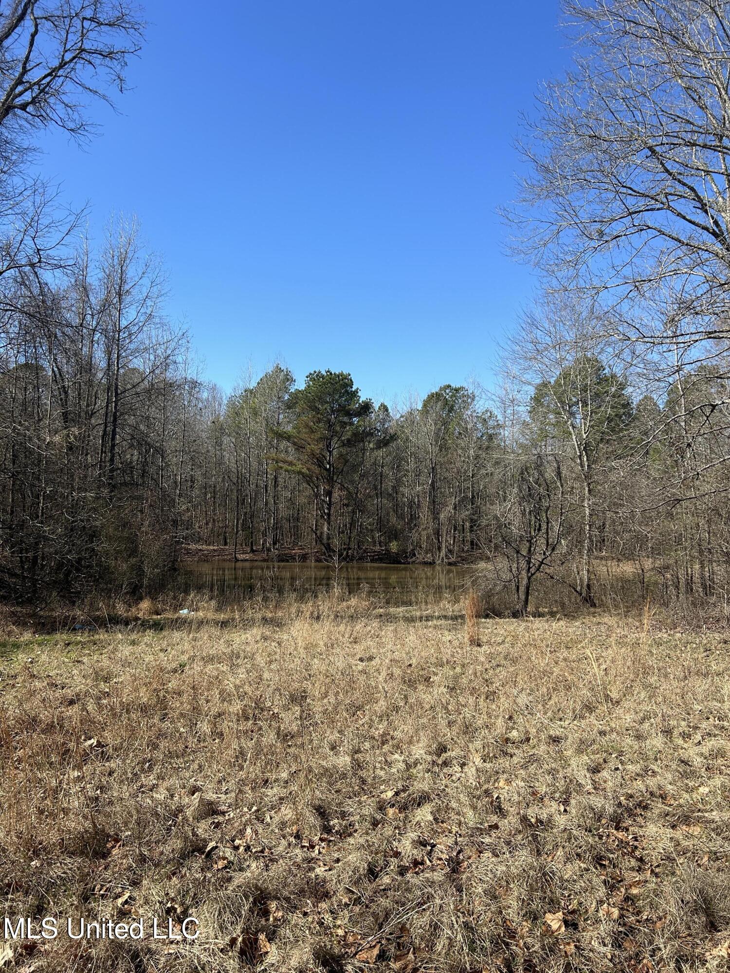 Phillips Road Property Photo 8