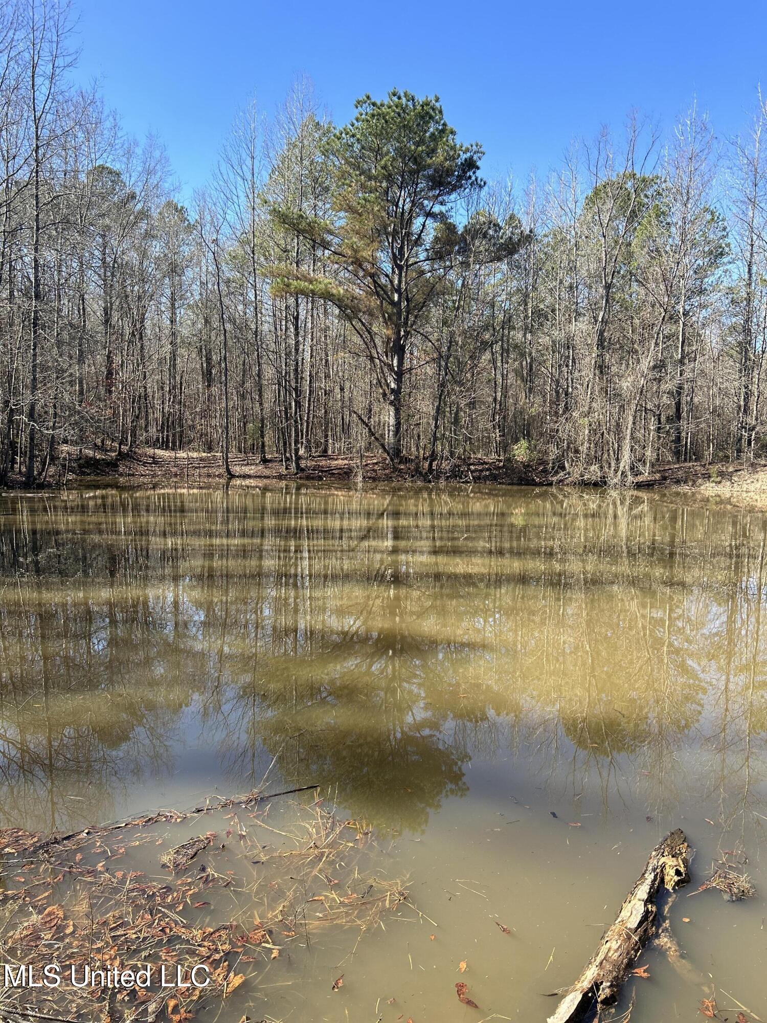 Phillips Road Property Photo 9