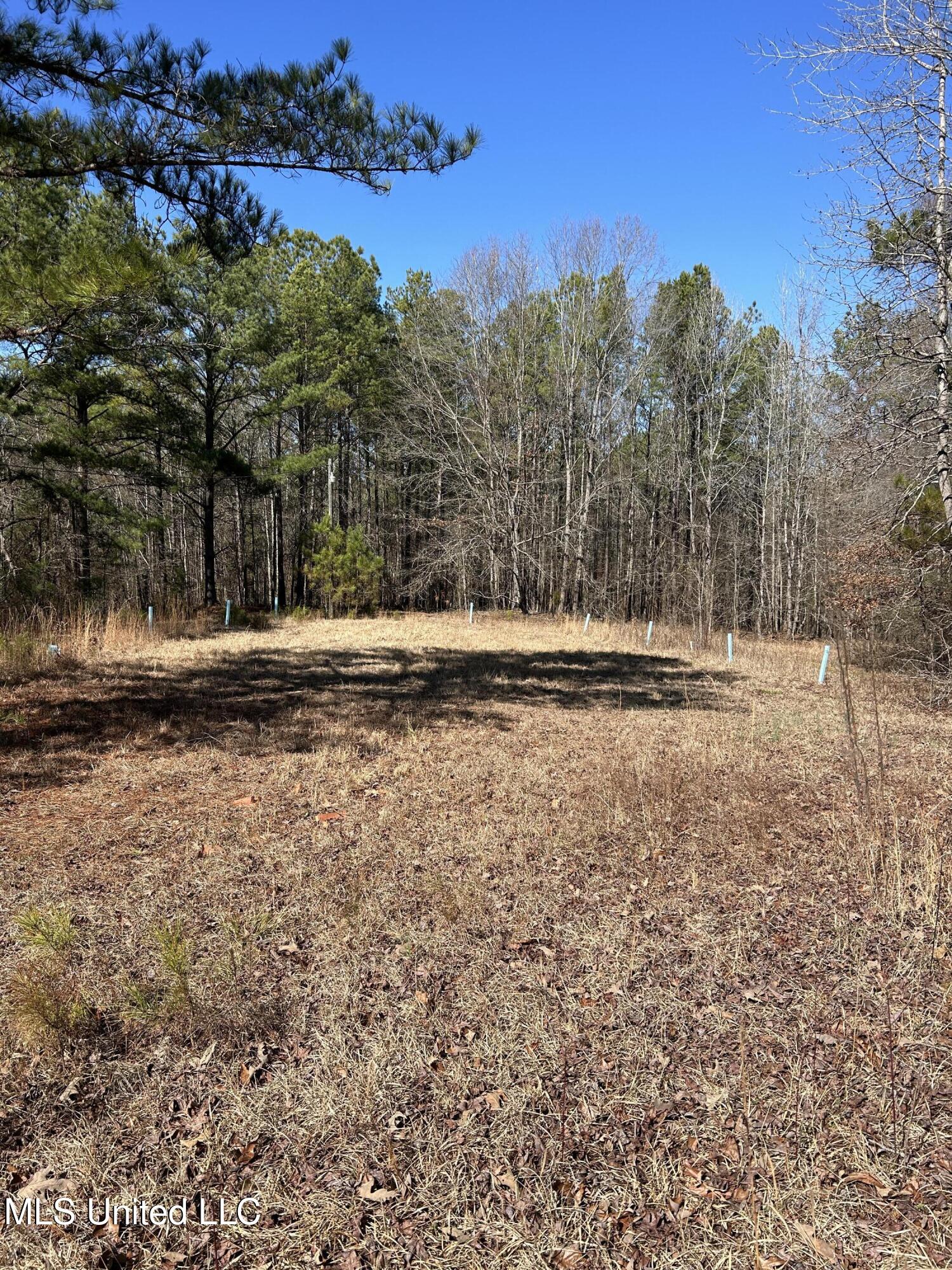 Phillips Road Property Photo 10