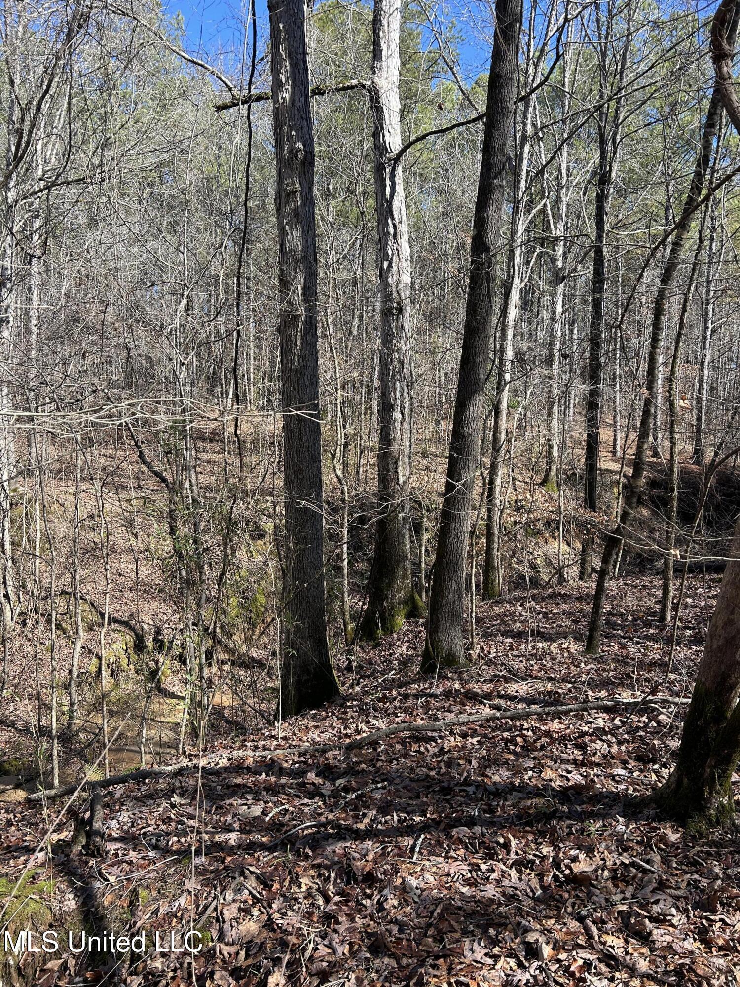 Phillips Road Property Photo 11