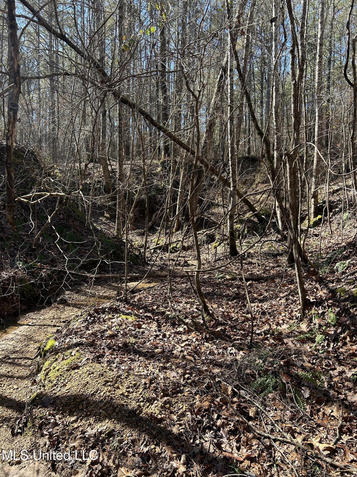 Phillips Road Property Photo 12