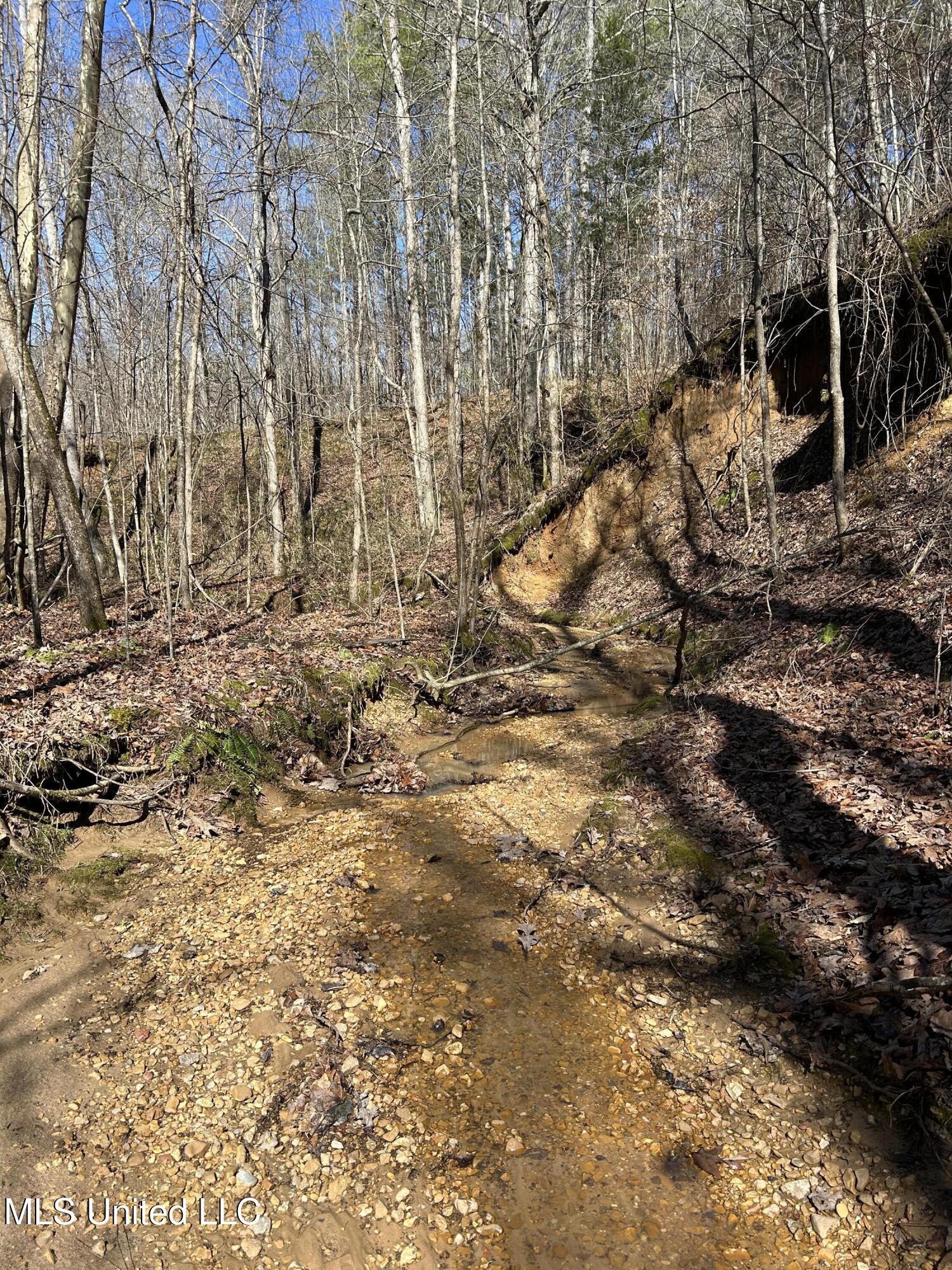 Phillips Road Property Photo 13