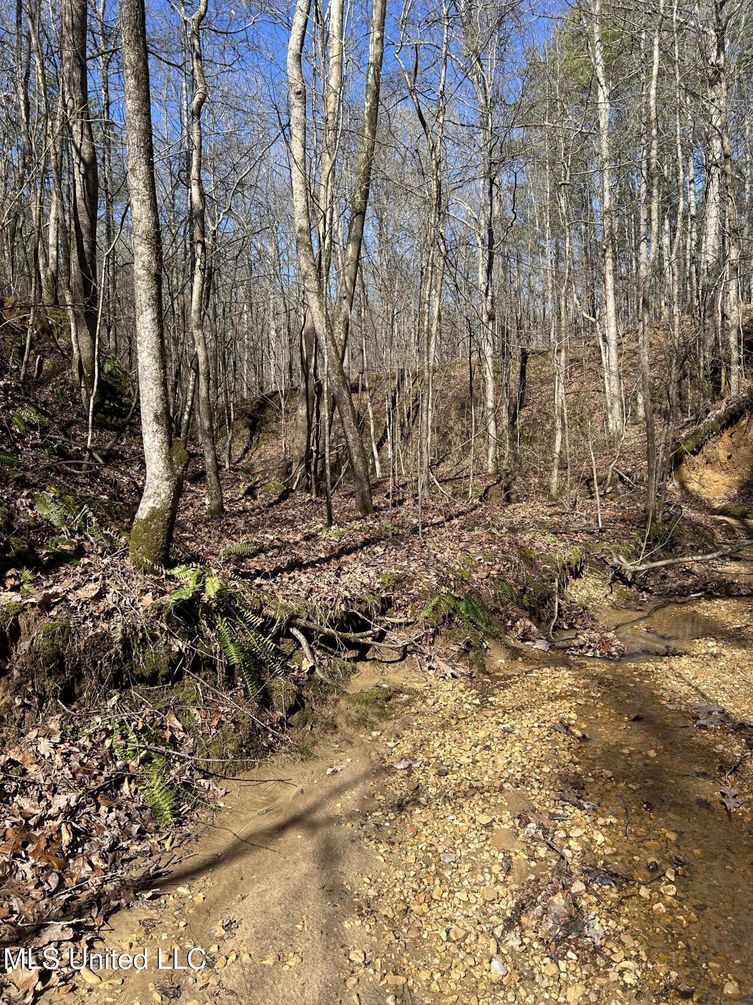 Phillips Road Property Photo 14