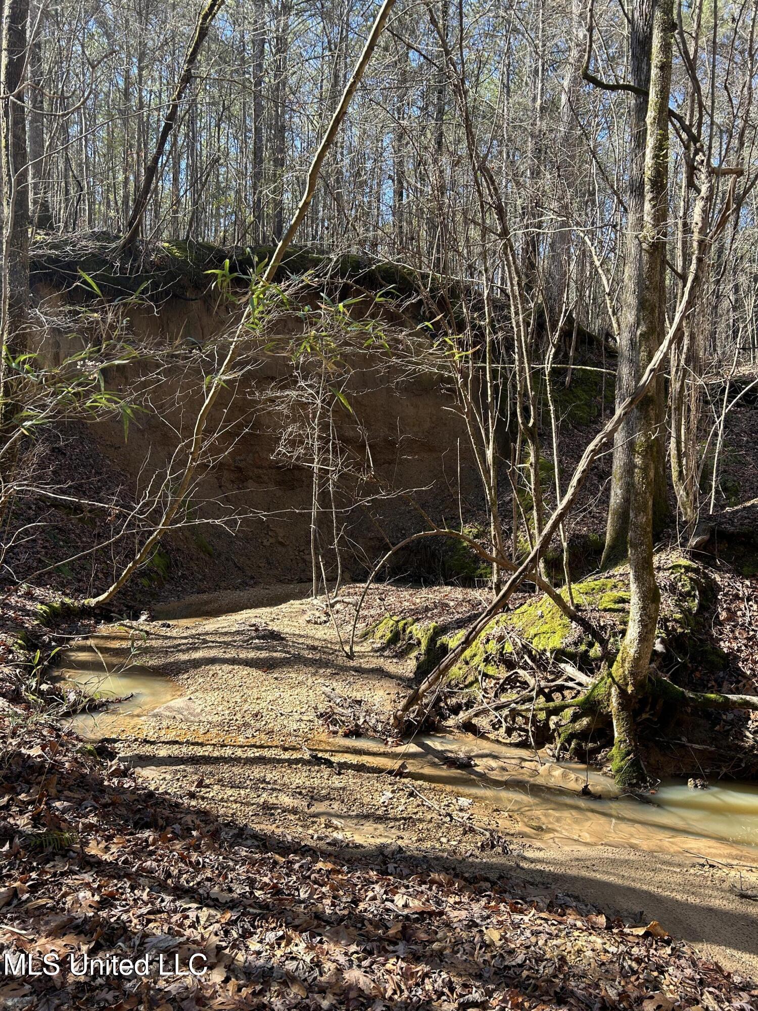 Phillips Road Property Photo 15