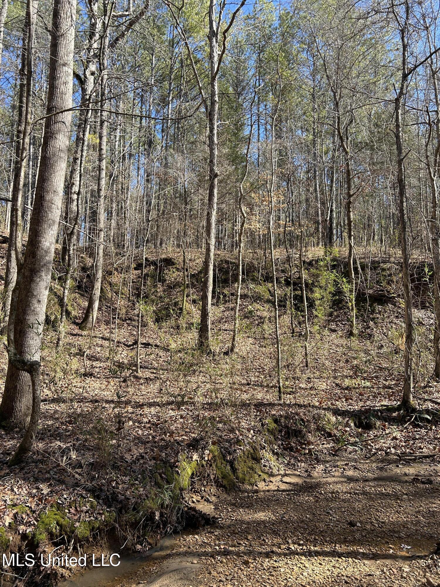 Phillips Road Property Photo 16