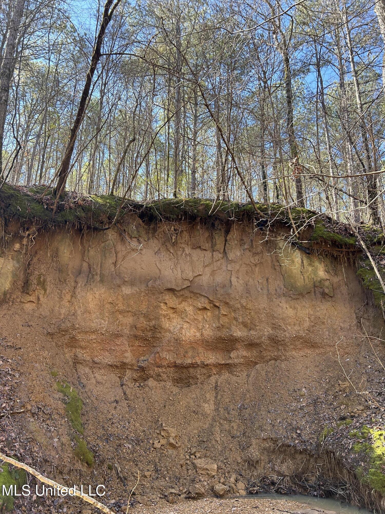 Phillips Road Property Photo 17