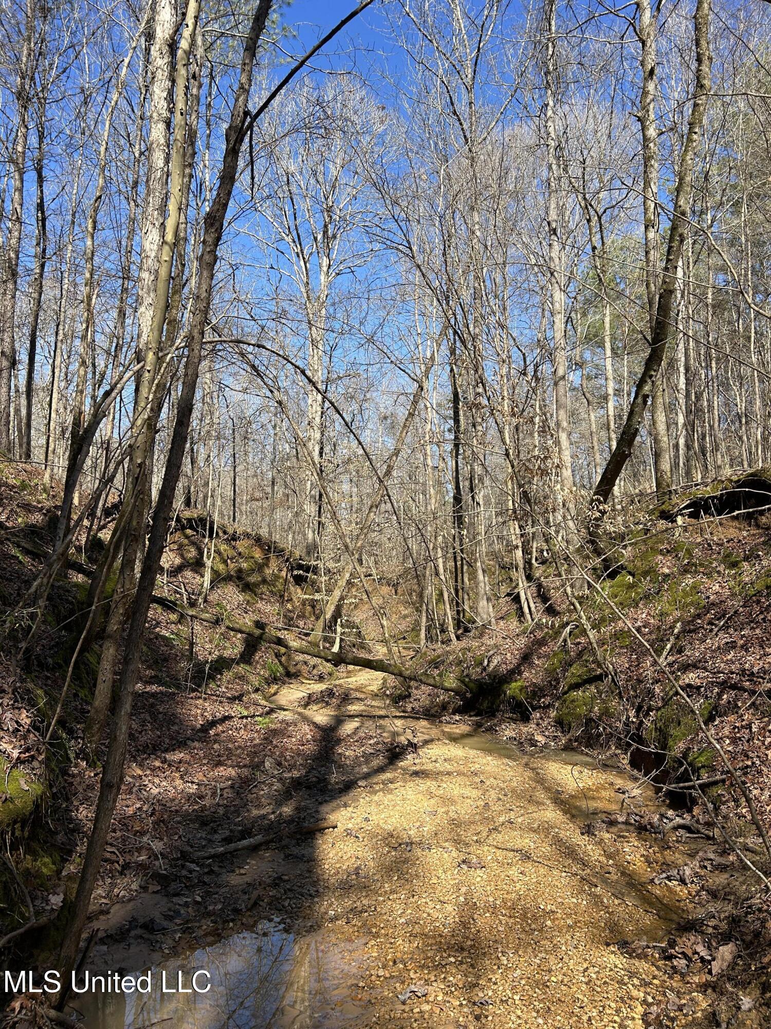 Phillips Road Property Photo 18