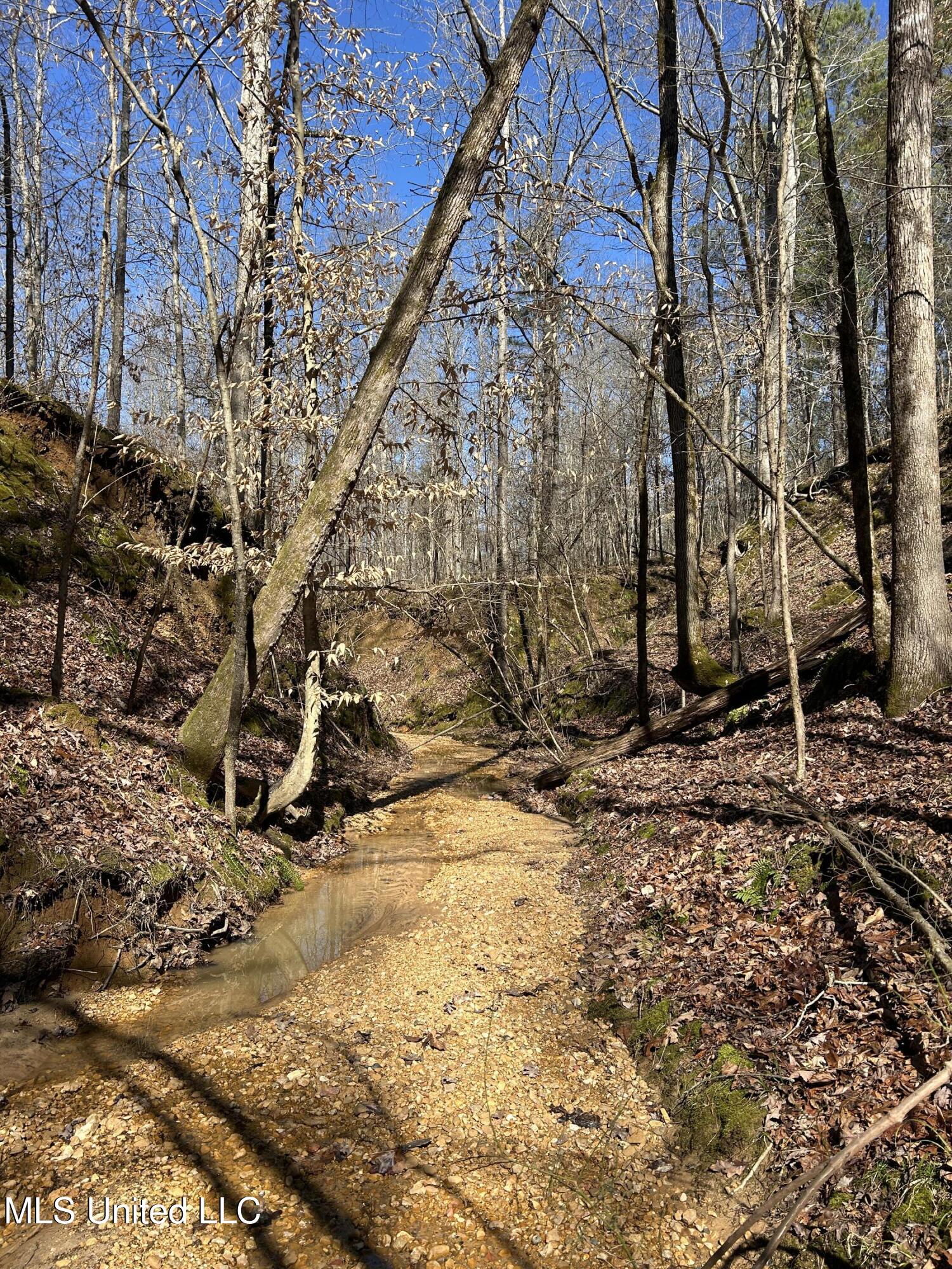 Phillips Road Property Photo 19