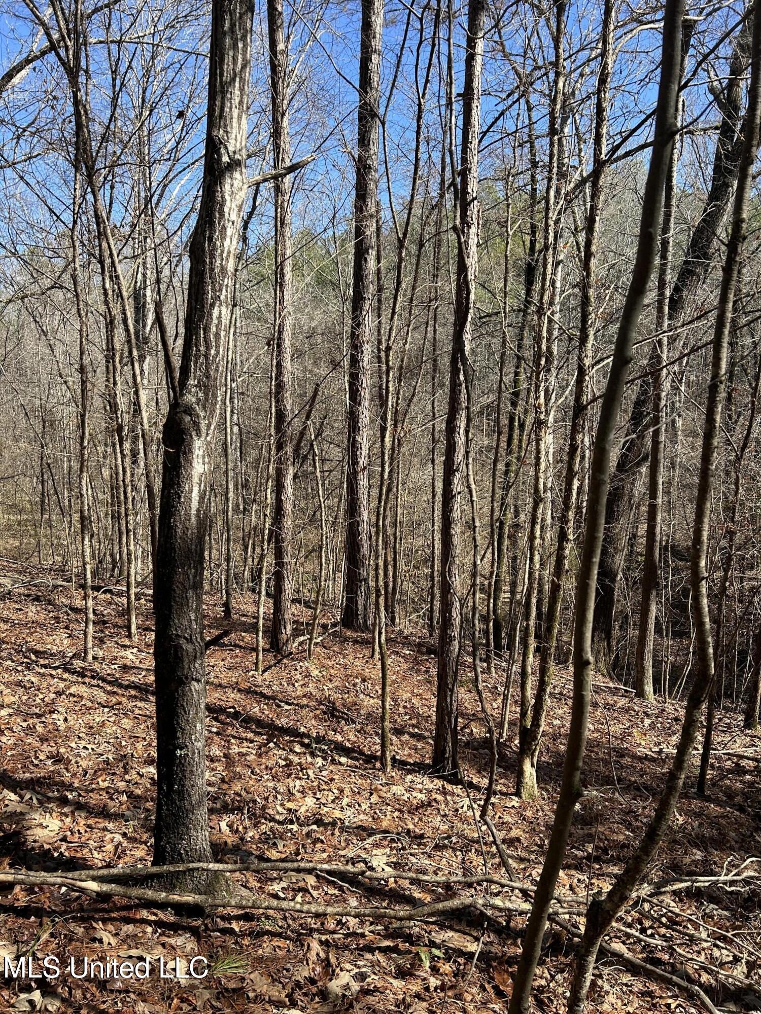 Phillips Road Property Photo 20