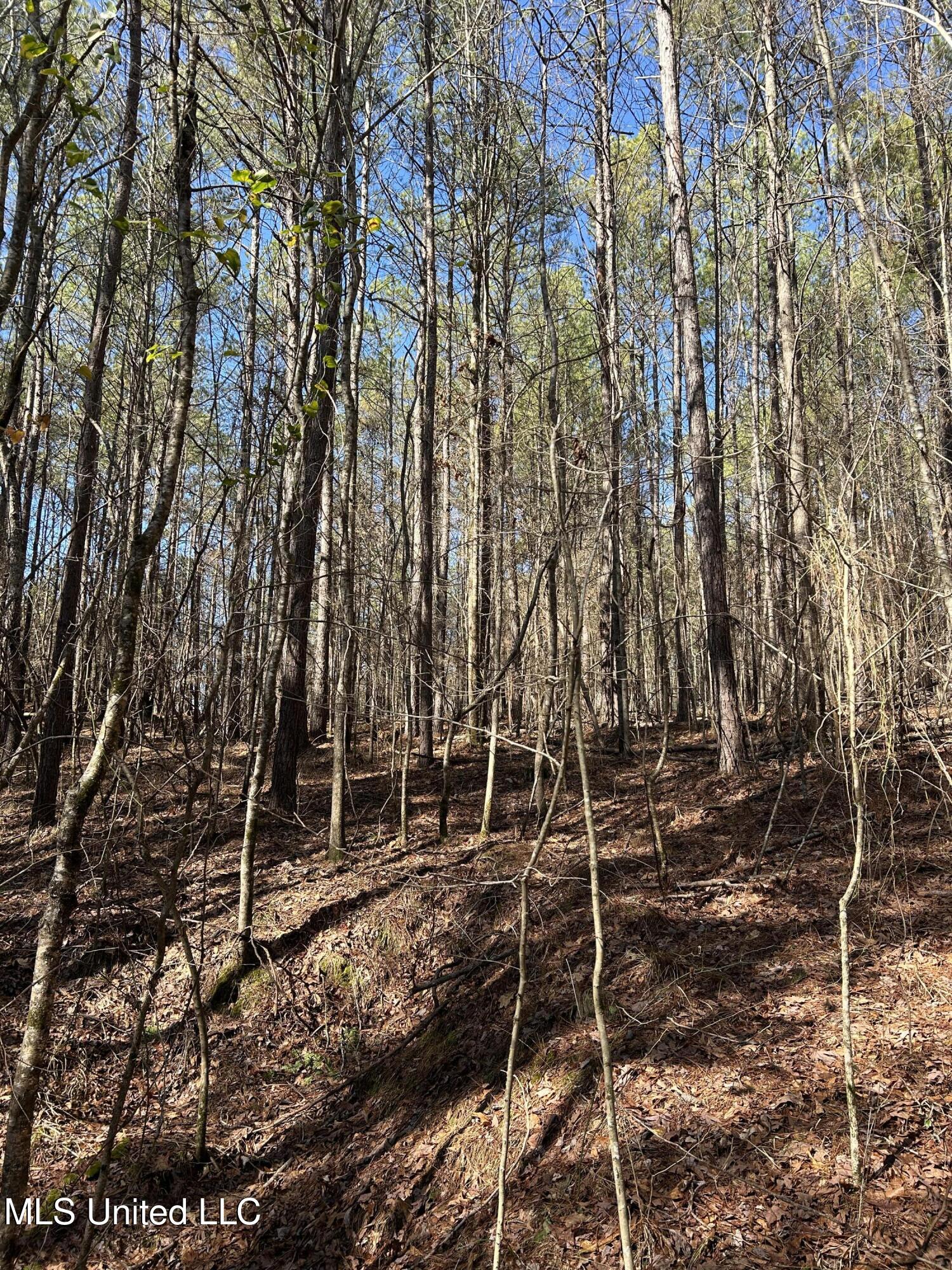 Phillips Road Property Photo 21