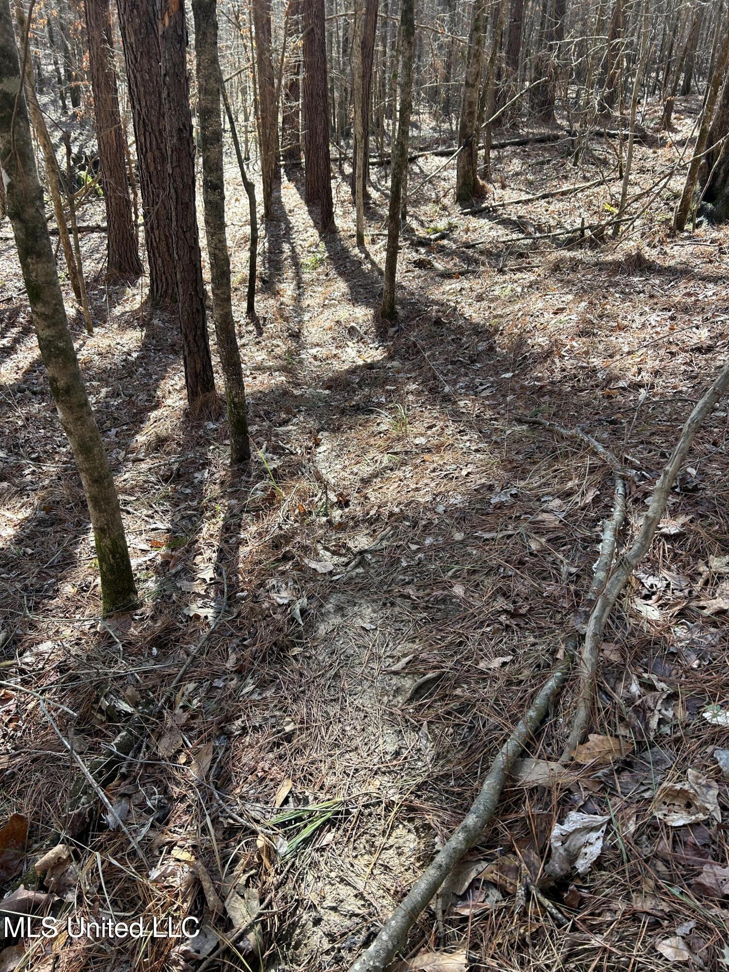 Phillips Road Property Photo 22