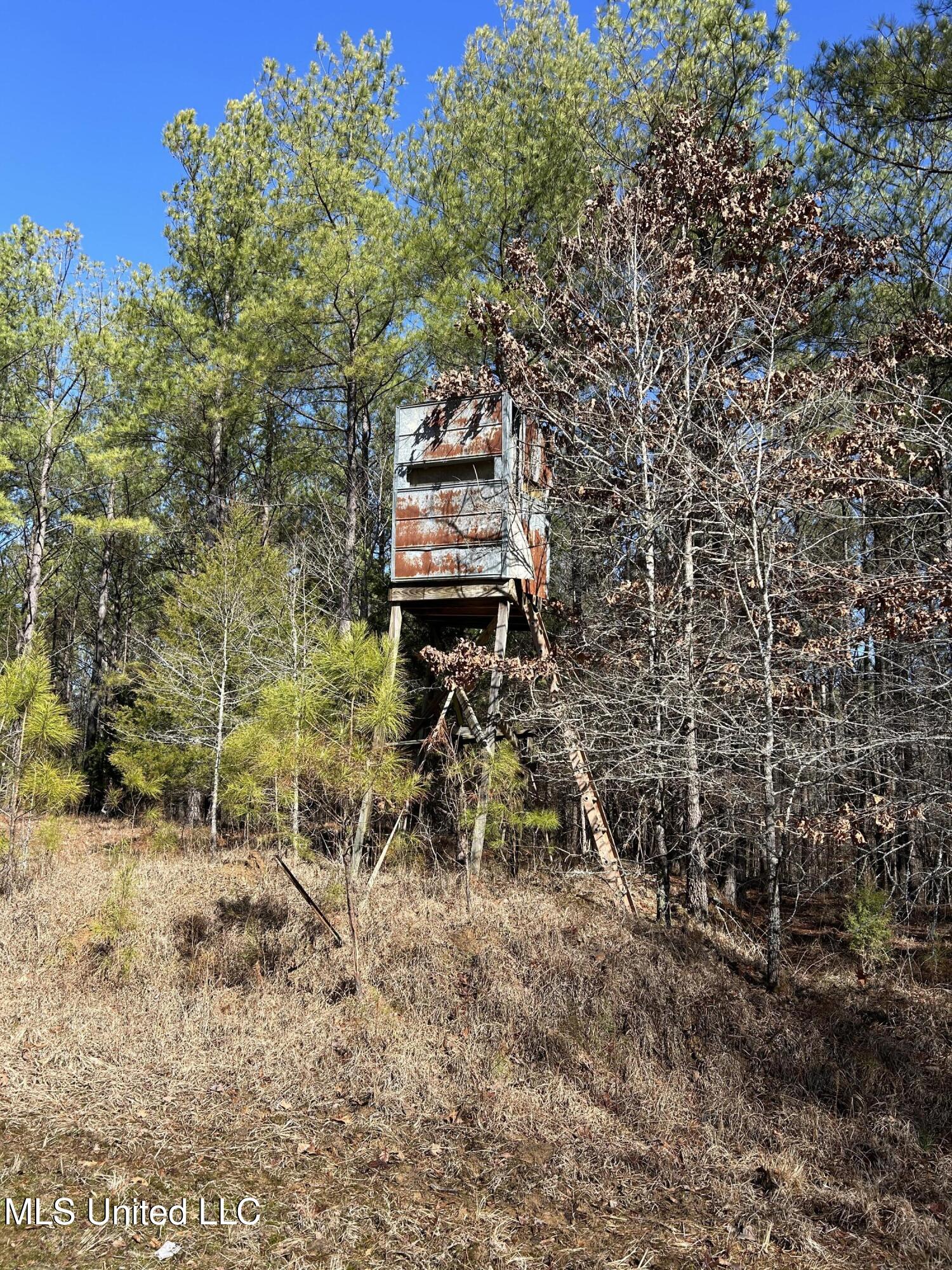 Phillips Road Property Photo 23