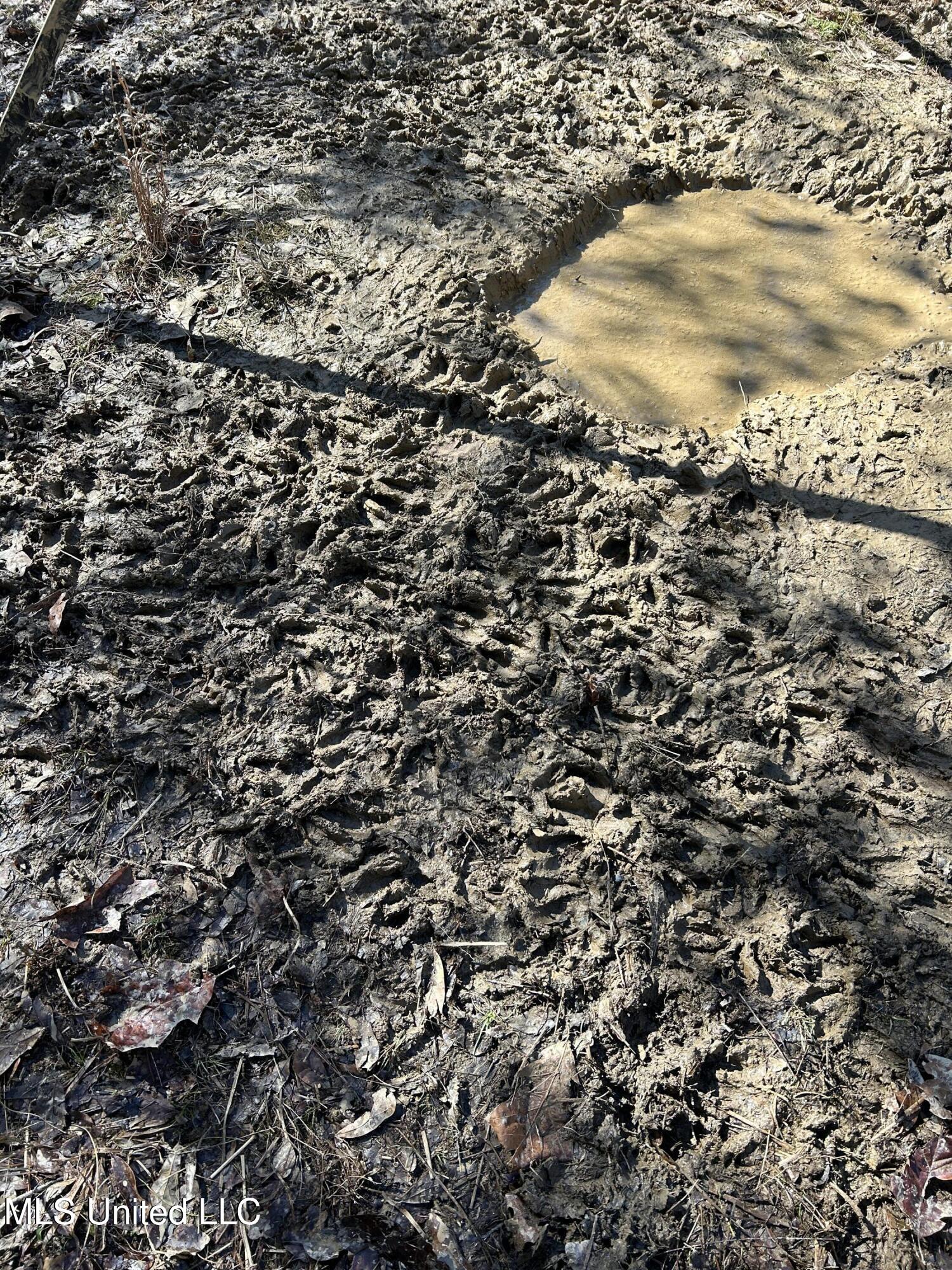 Phillips Road Property Photo 24