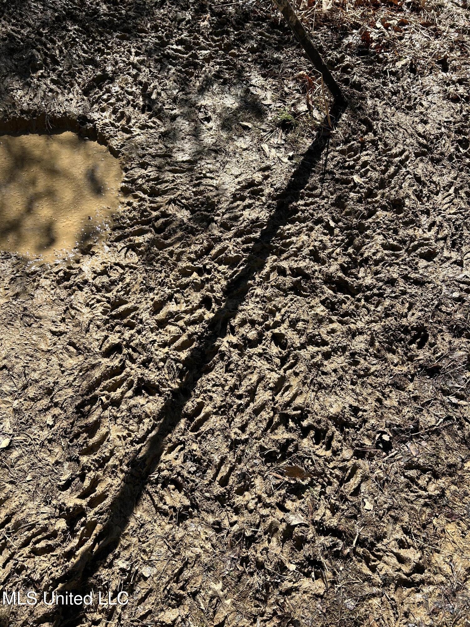 Phillips Road Property Photo 25