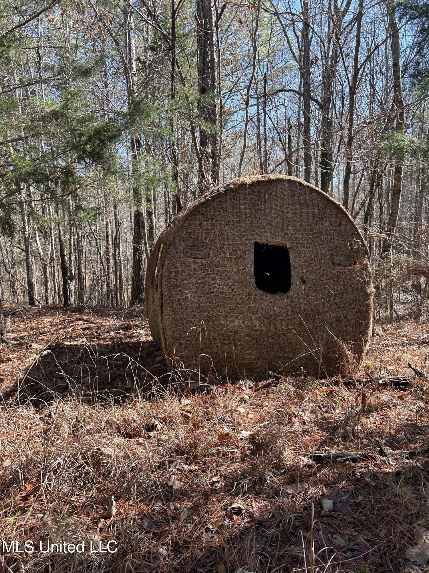 Phillips Road Property Photo 26