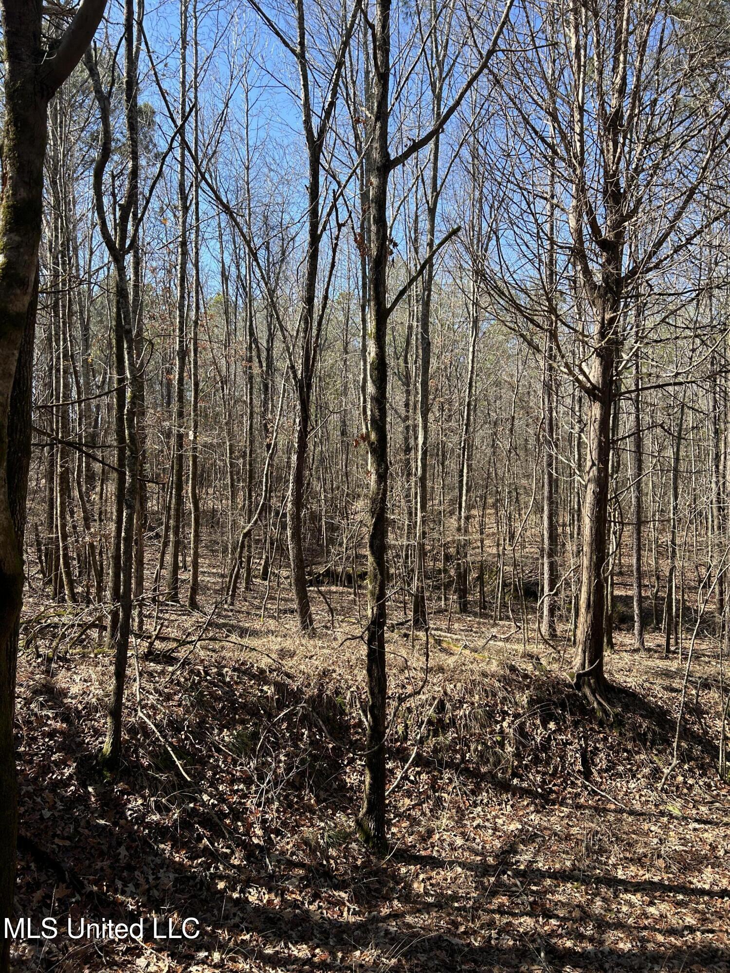 Phillips Road Property Photo 27